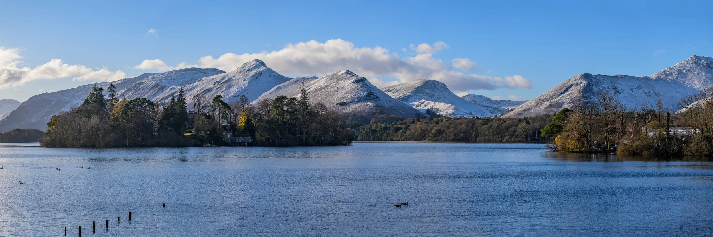 2025.11.19_Z080572-Pano.jpg