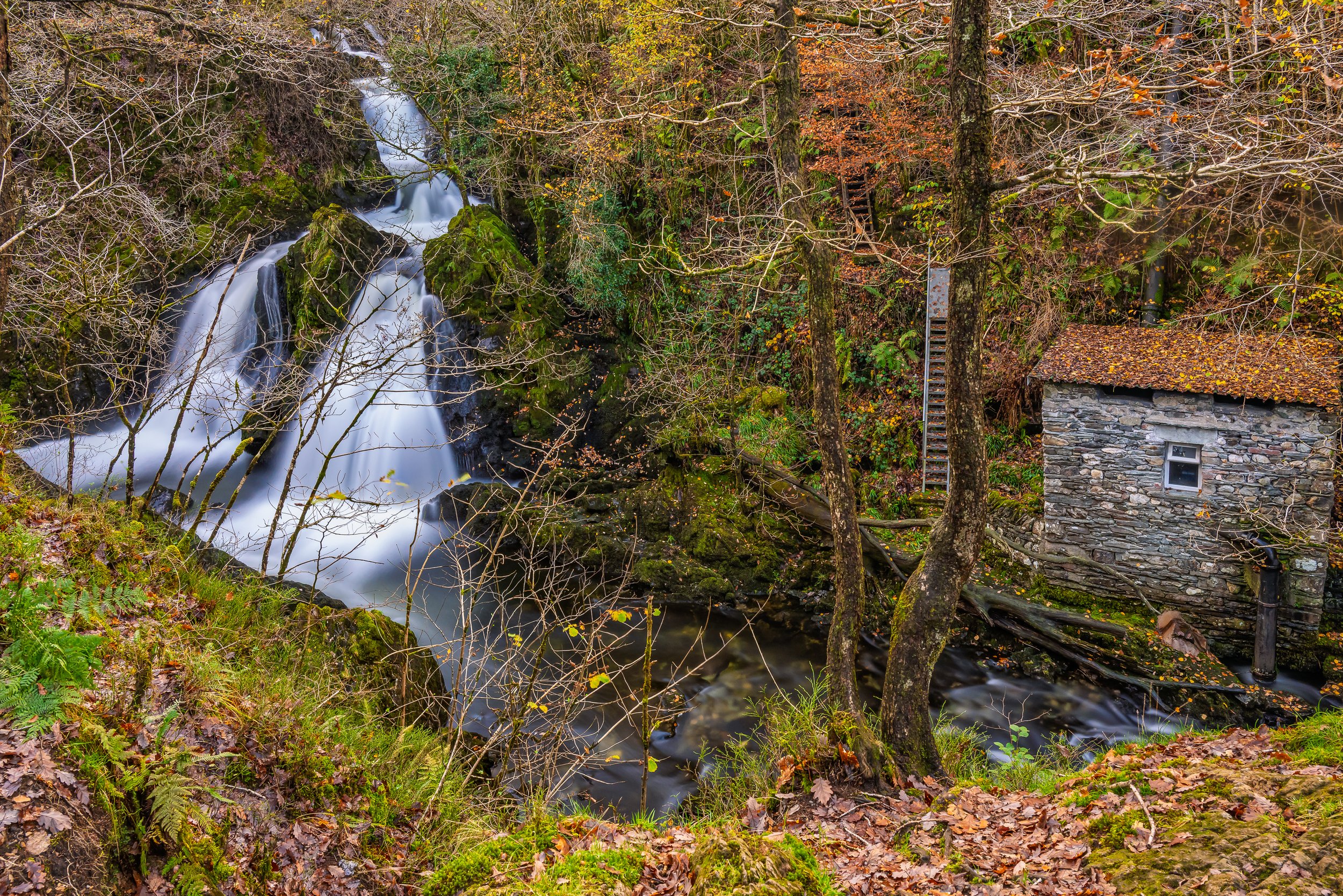 Colwith Force