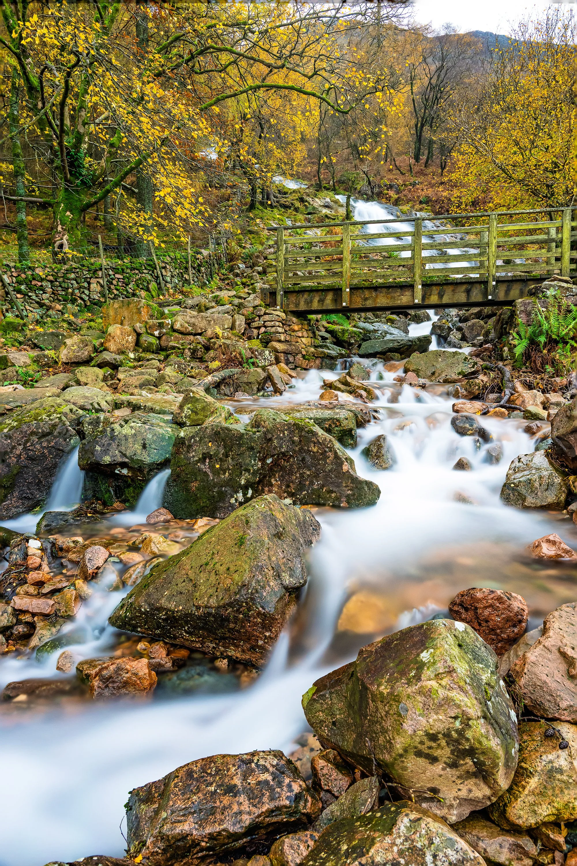 2025.11.06_Z080303-Edit-2.jpg