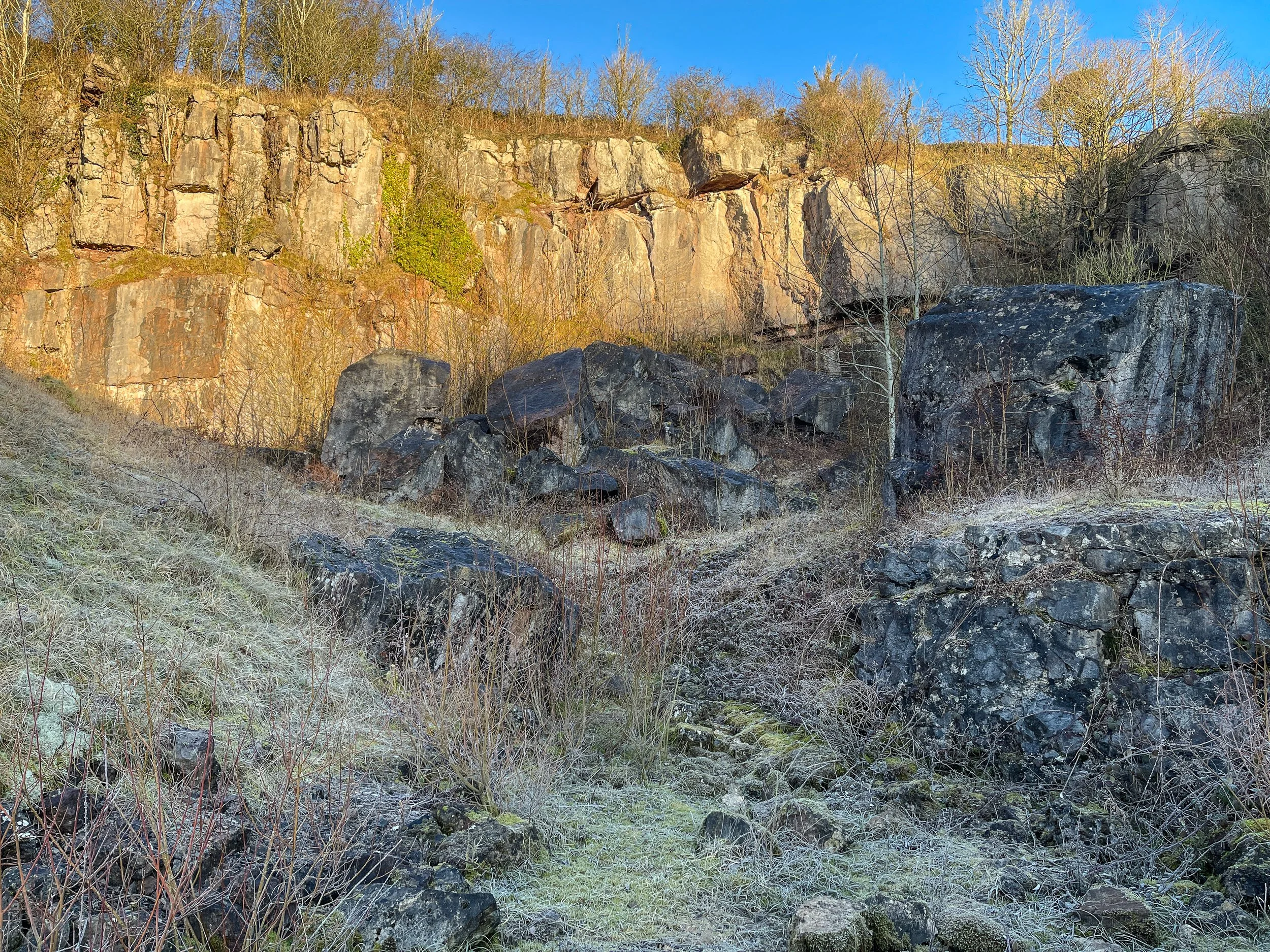 Clints Quarry Nature Reserve