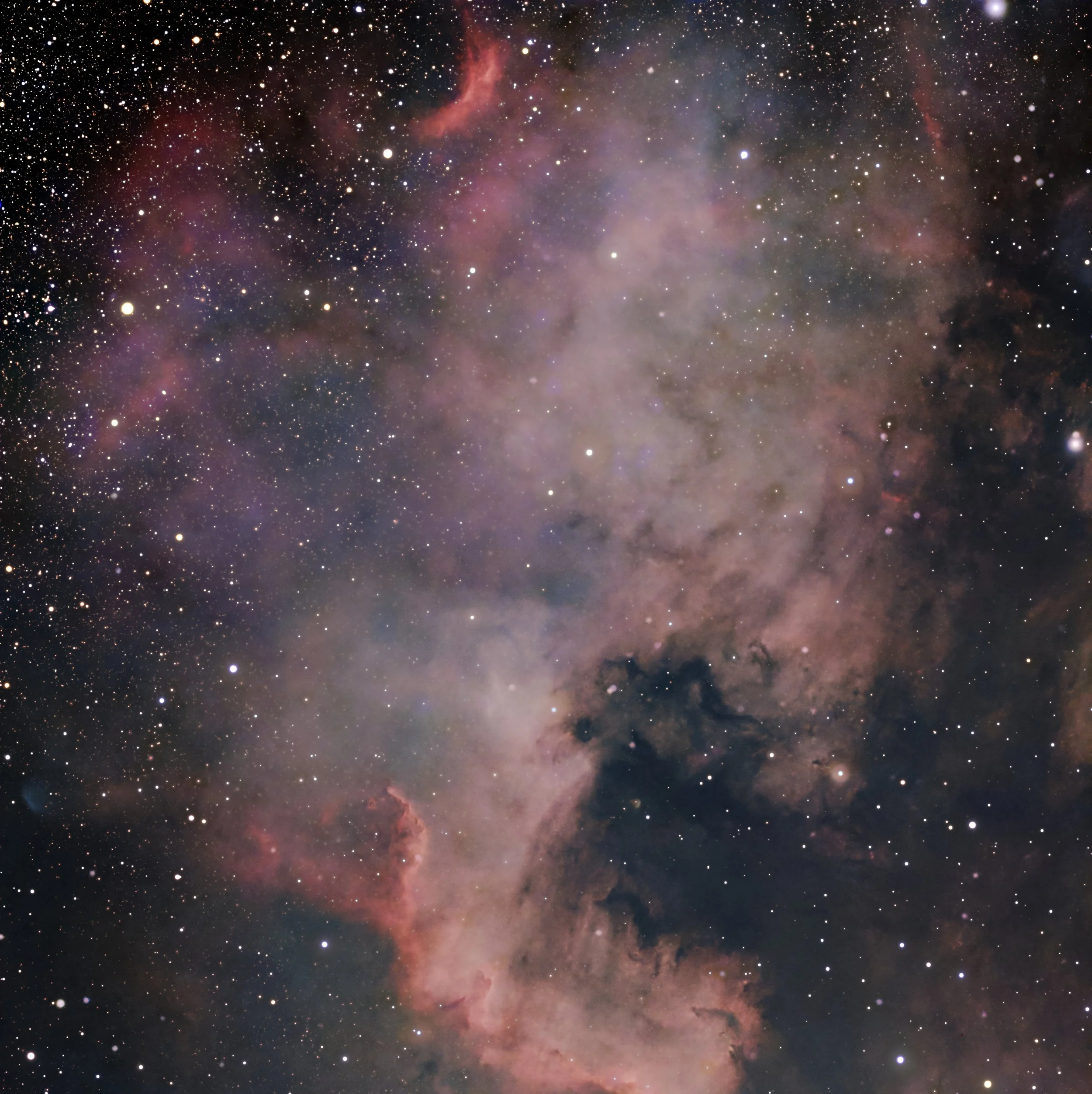 NGC7000 North American Nebula
