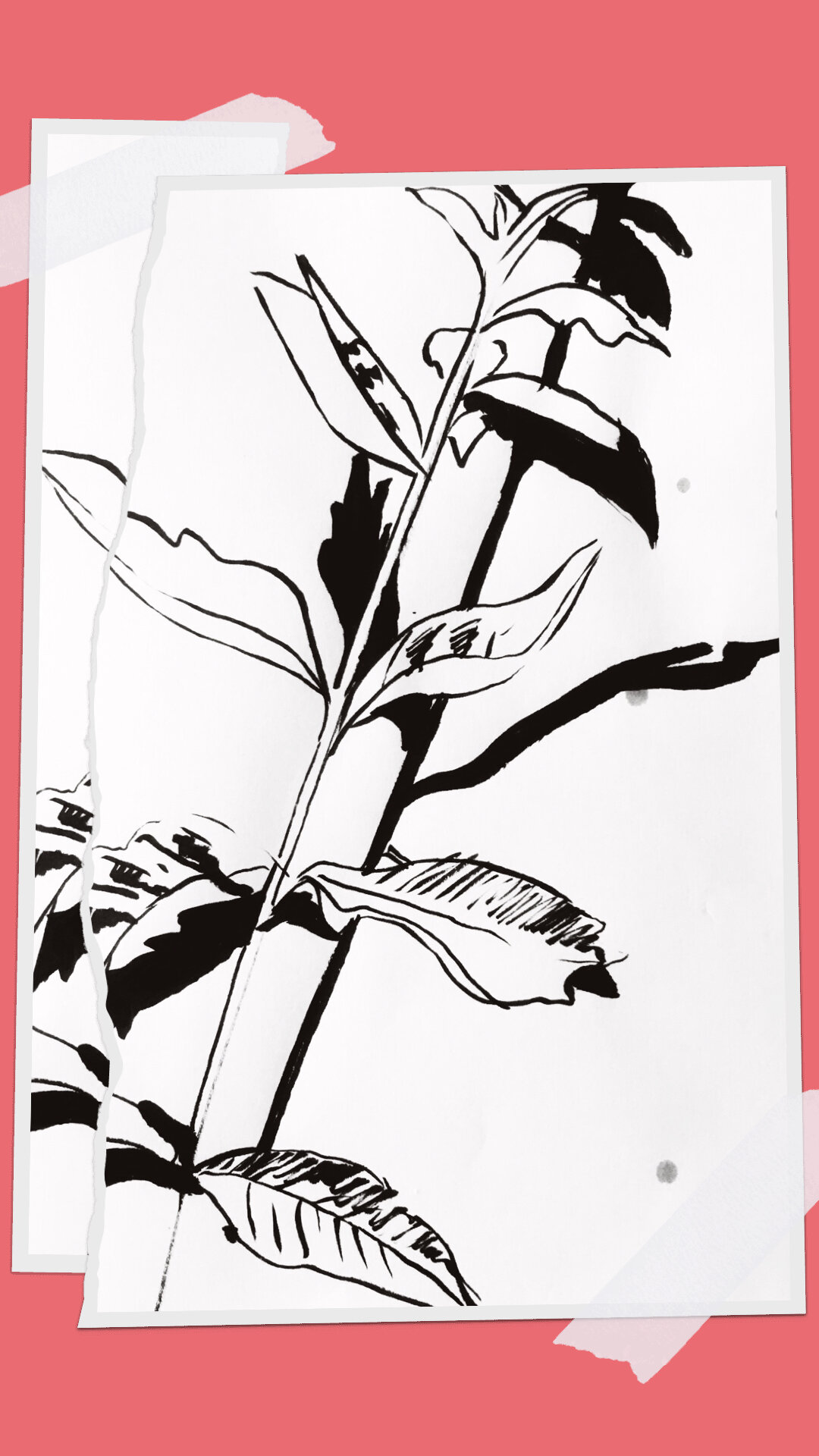 PLANT_LIFE_1.jpeg