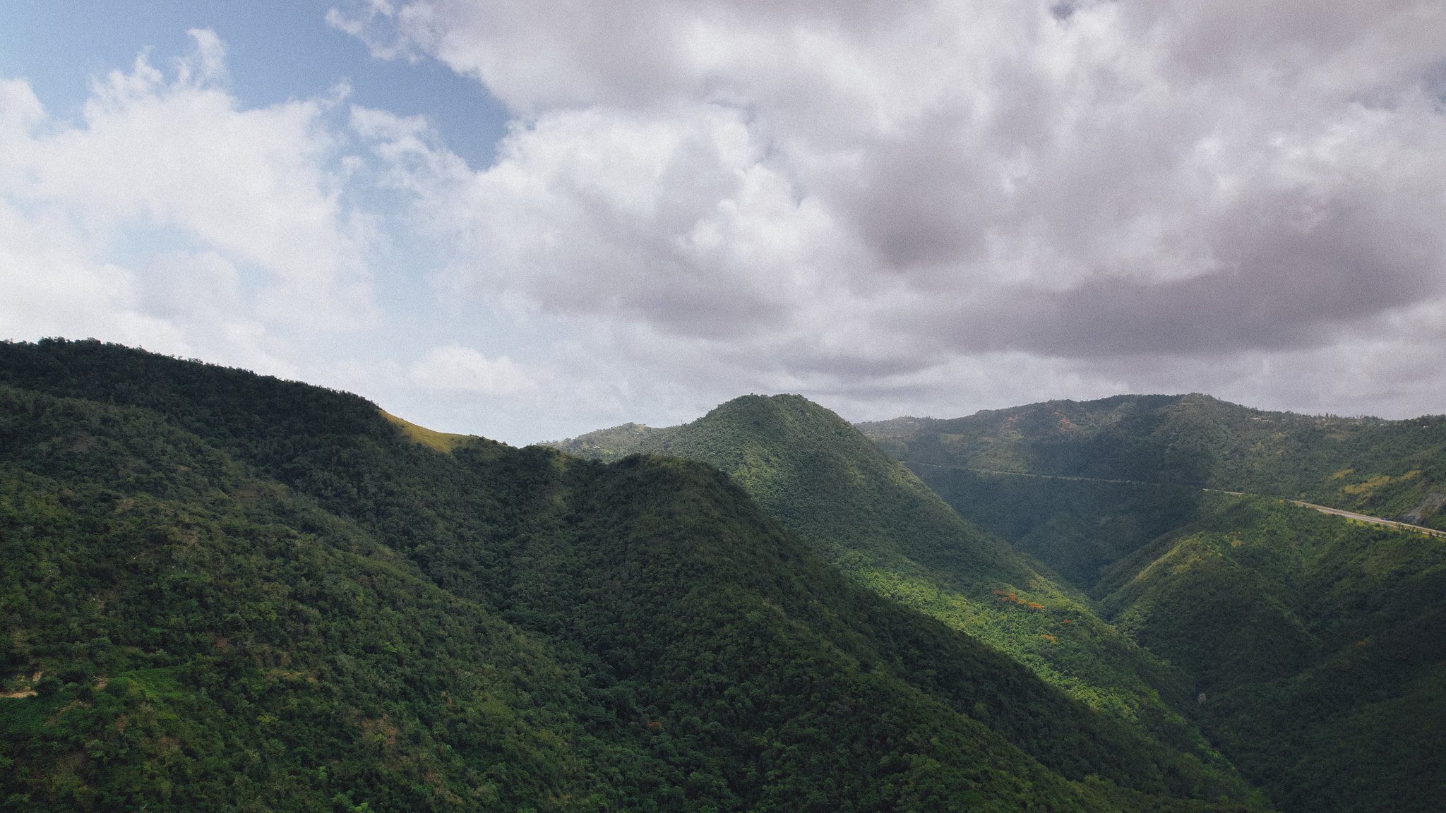 Estudio de caso:             La Naturaleza Sana