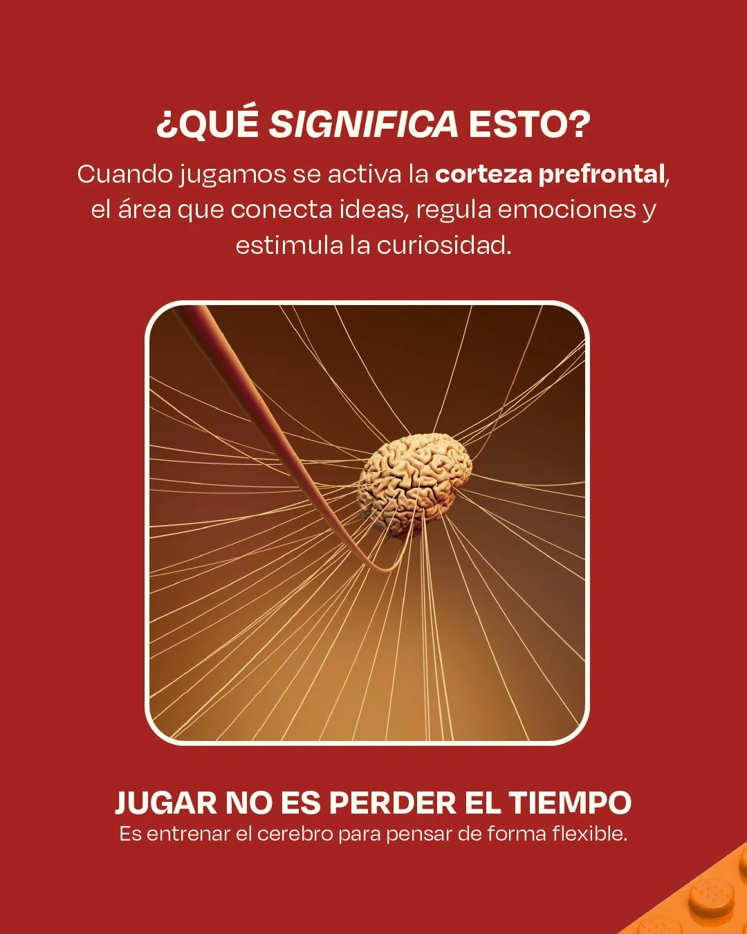 Policromia_IG Post_NOV2025-Post7-03.jpg