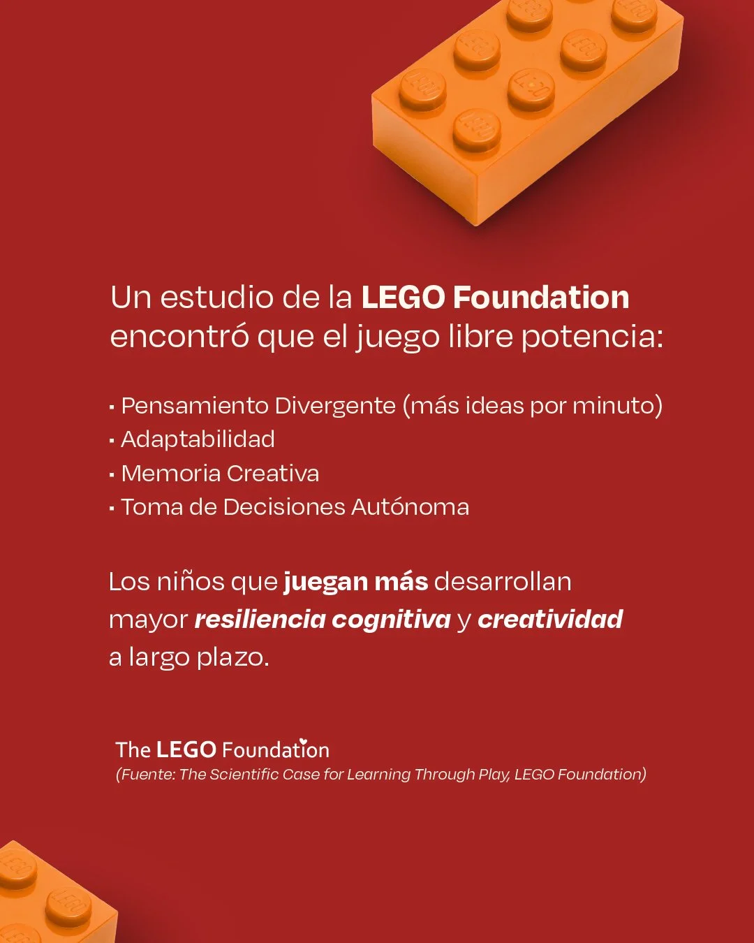 Policromia_IG Post_NOV2025-Post7-04.jpg