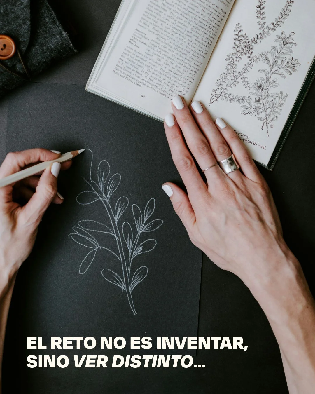 Policromia_IG Post_NOV2025-Post4-02.jpg