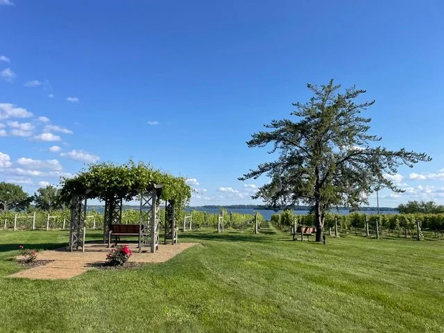 The Best Place to Take Visitors Near Minneapolis: Sovereign Estate Winery