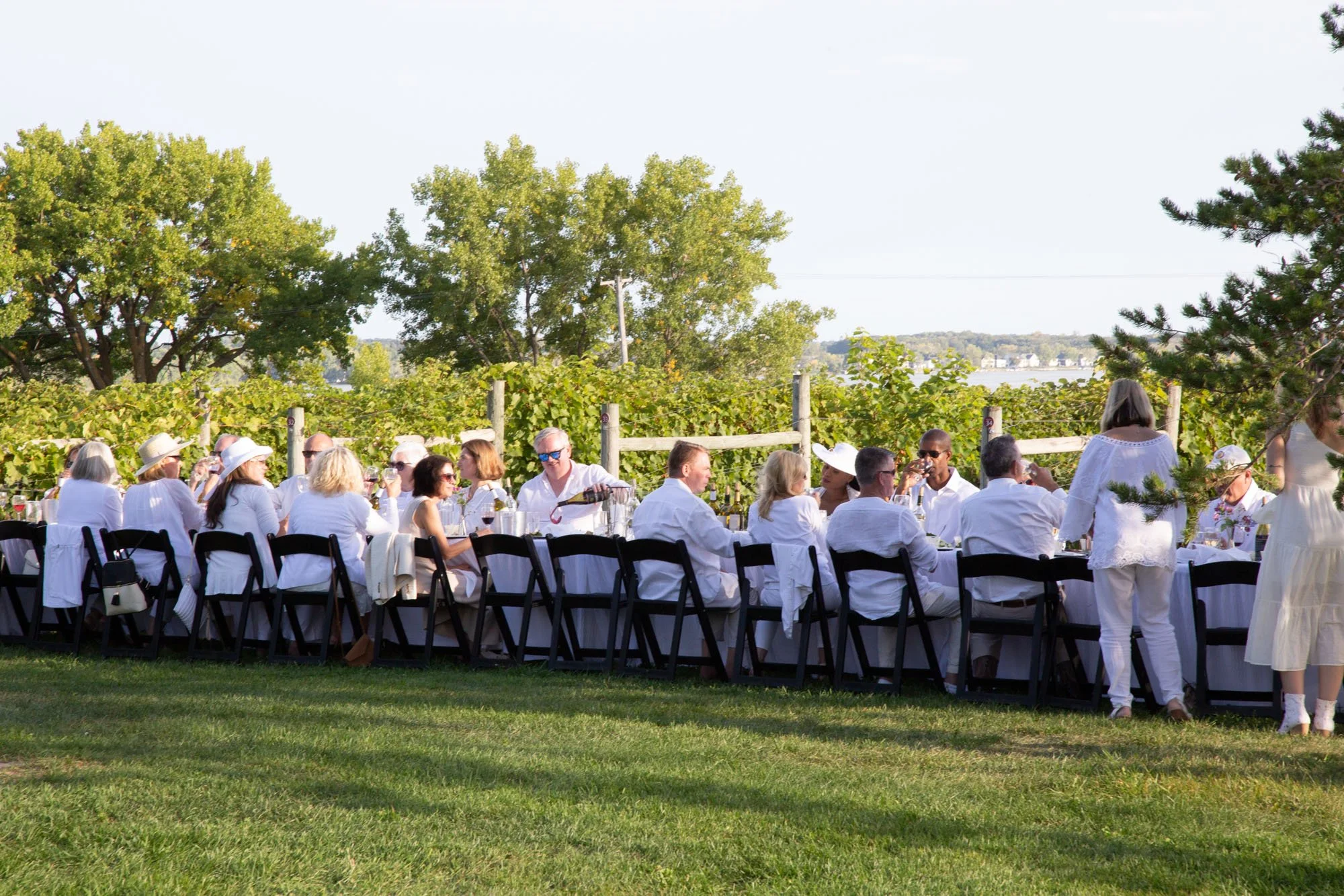 dinner-in-the-vines-table-2a.jpg