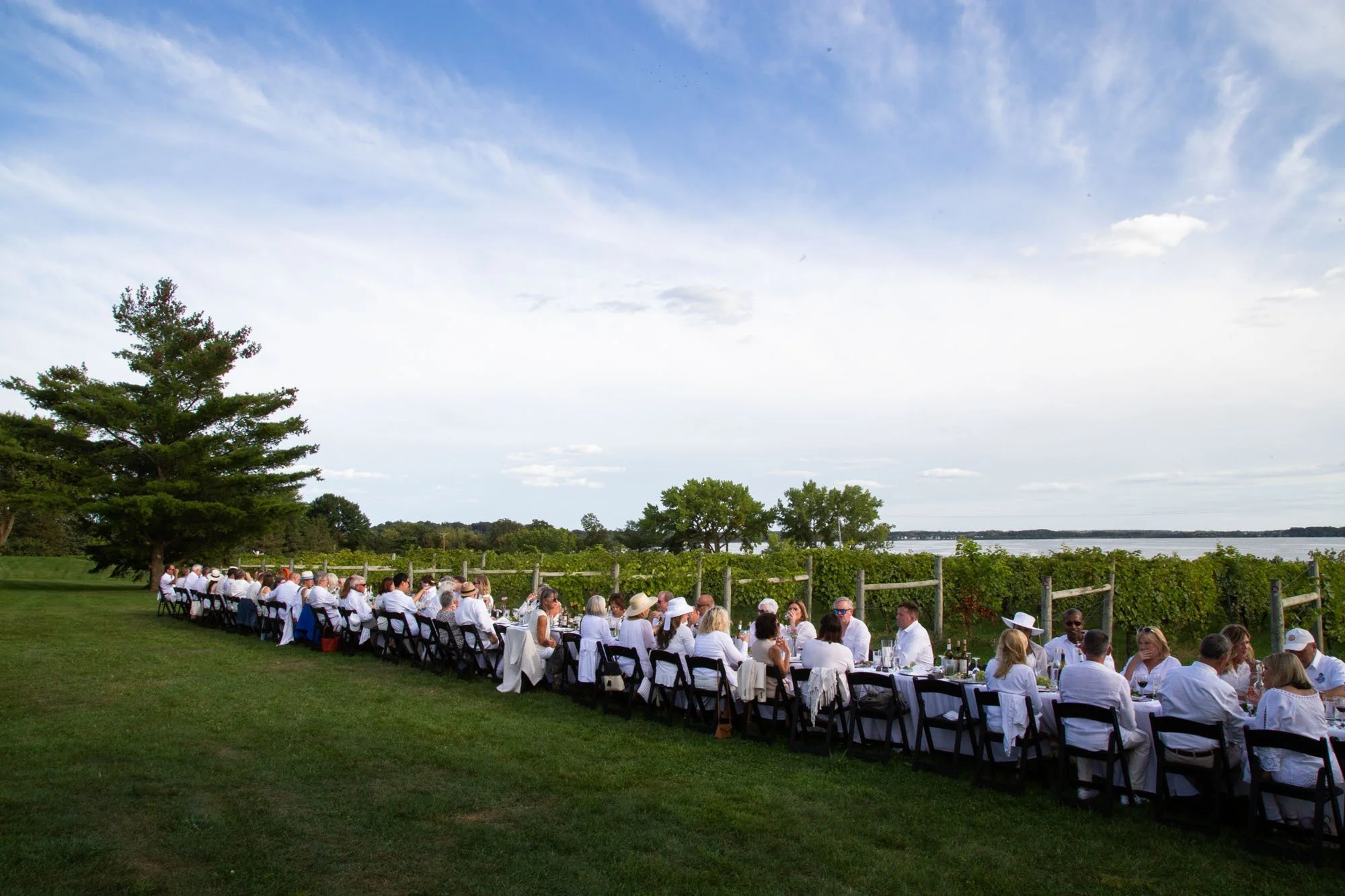 dinner-in-the-vines-tablea.jpg