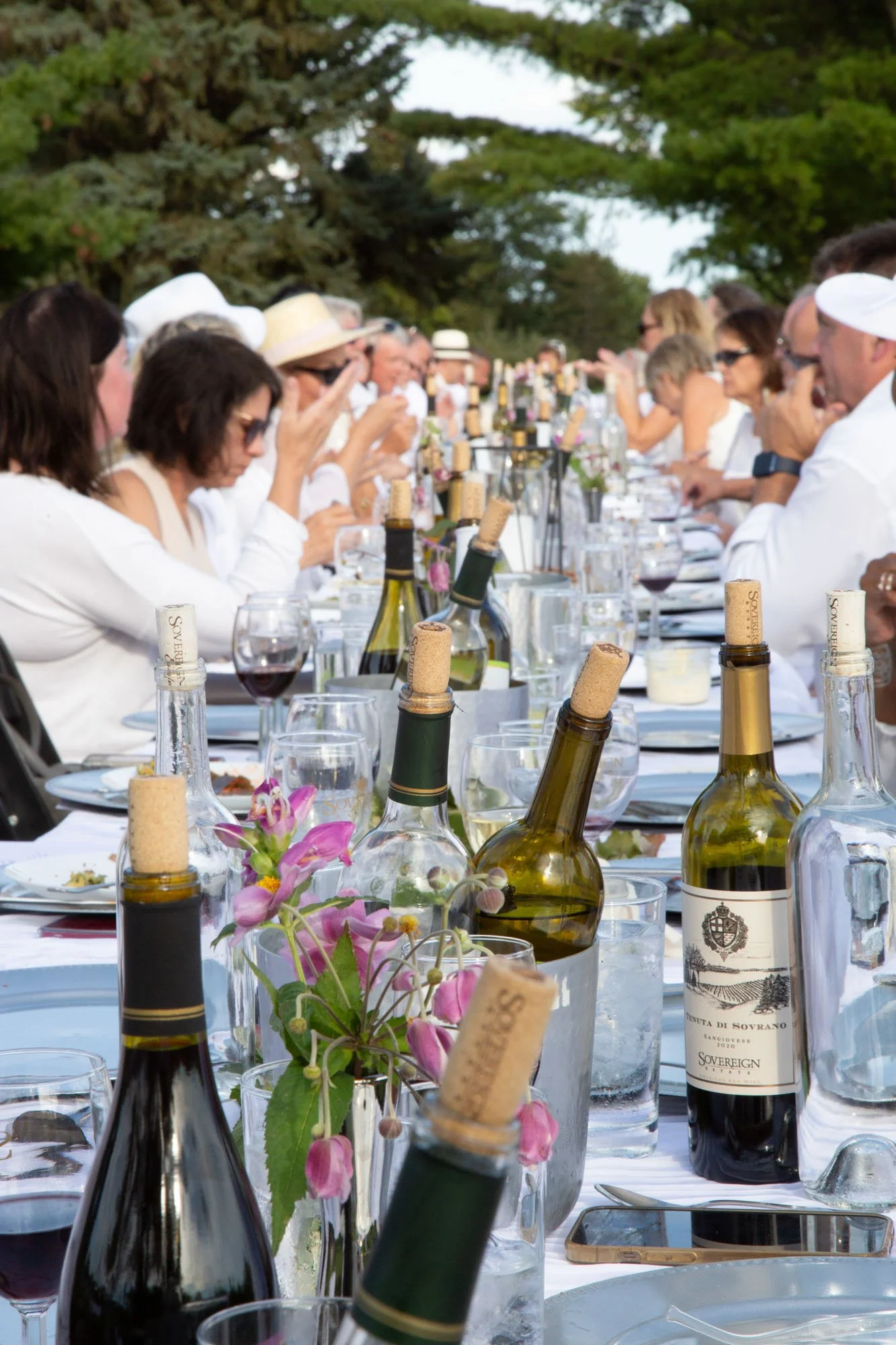 dinner-in-the-vines-winesa.jpg