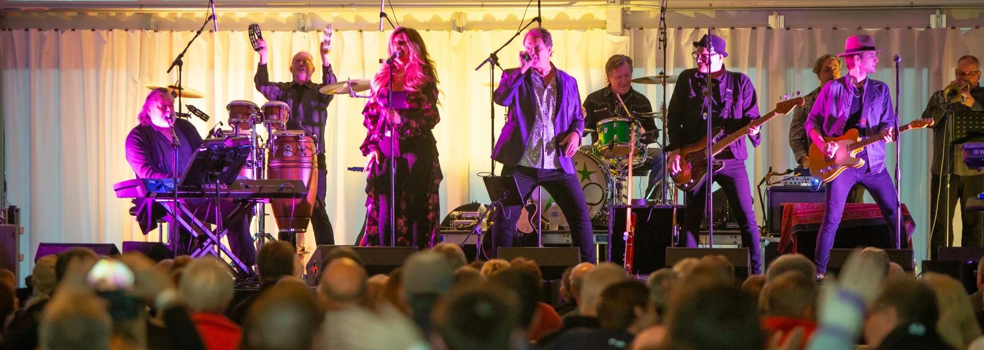vintage-concerts-sovereign-estate-waconia-minnesota036.jpg