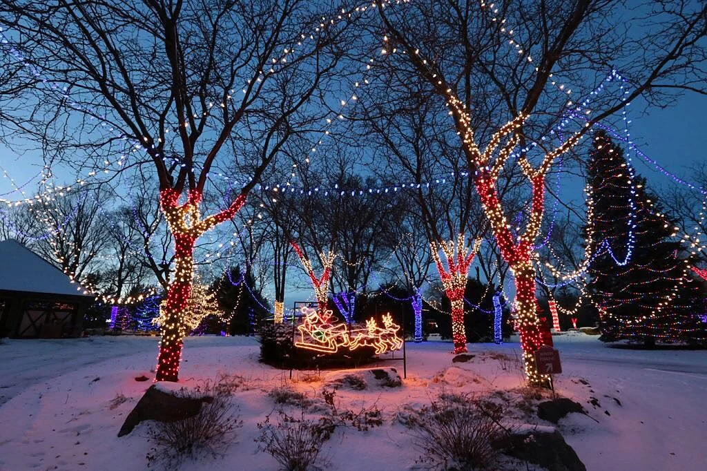 Winter scene with snow-covered ground and trees decorated with colorful Christmas lights, including a lighted Santa and reindeer display.