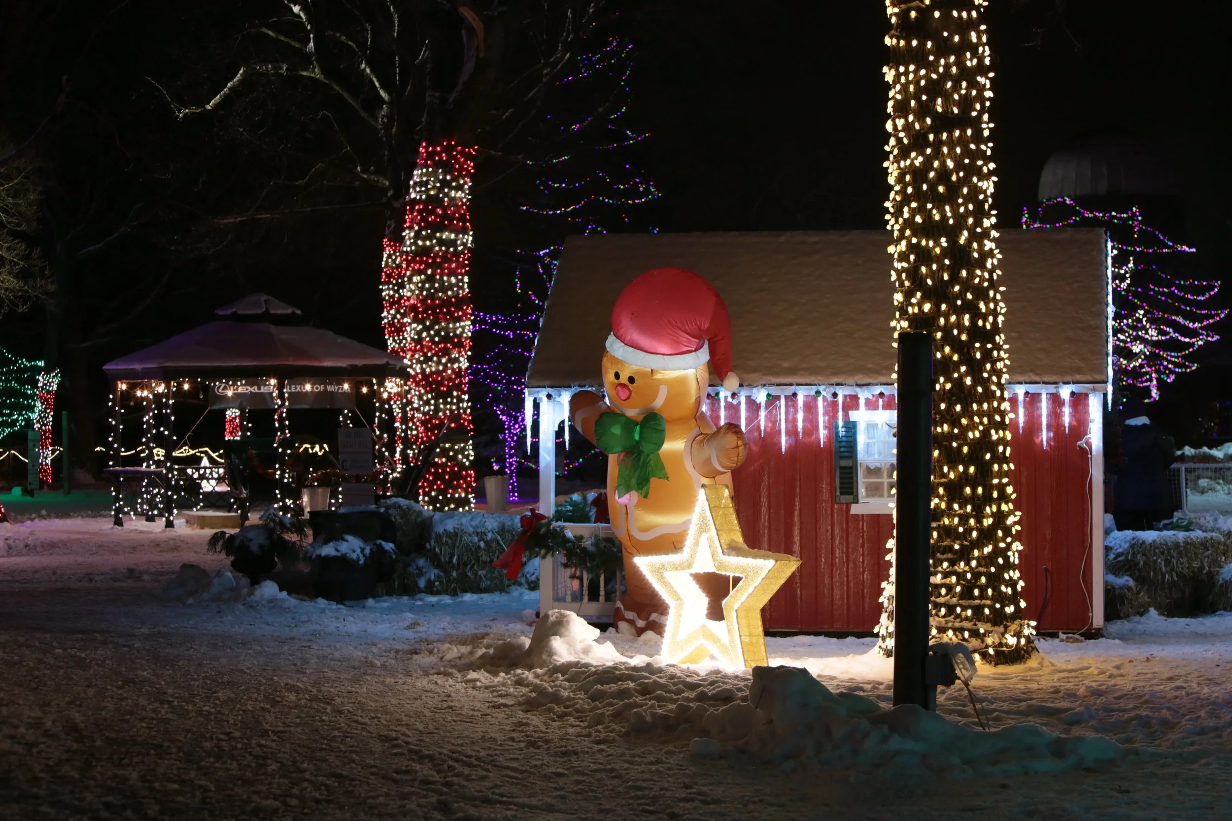 Holiday scene at night with Christmas lights, decorated trees, a red shed, a festive inflatable gingerbread man wearing a Santa hat, and illuminated star decoration, all set in snowy surroundings.