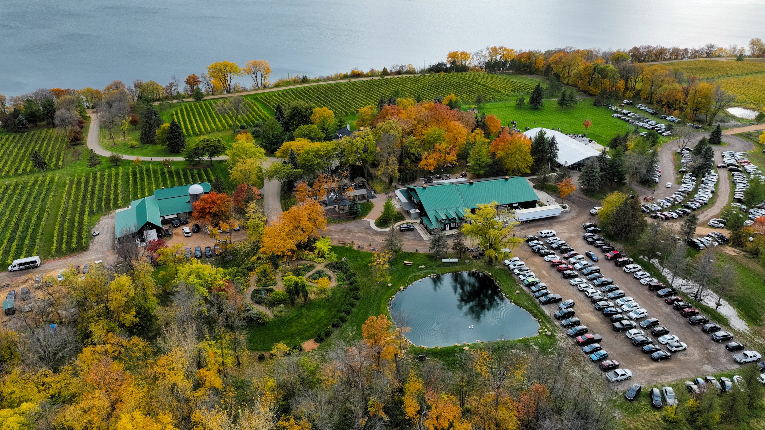 Best Winery Near Minneapolis: Discover Sovereign Estate Winery in Waconia