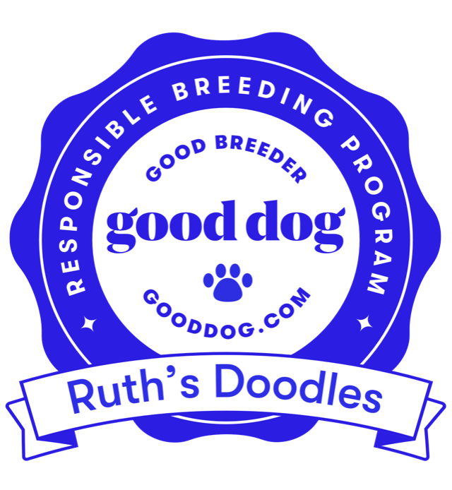 good dog (2).PNG