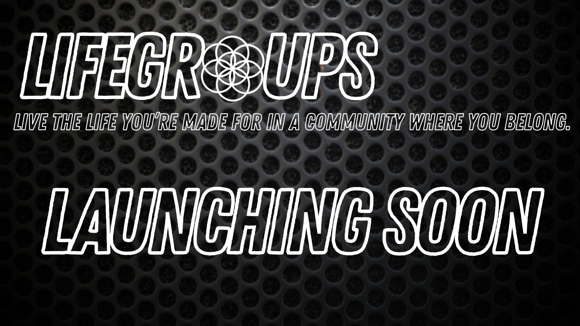 LifeGroup Launch