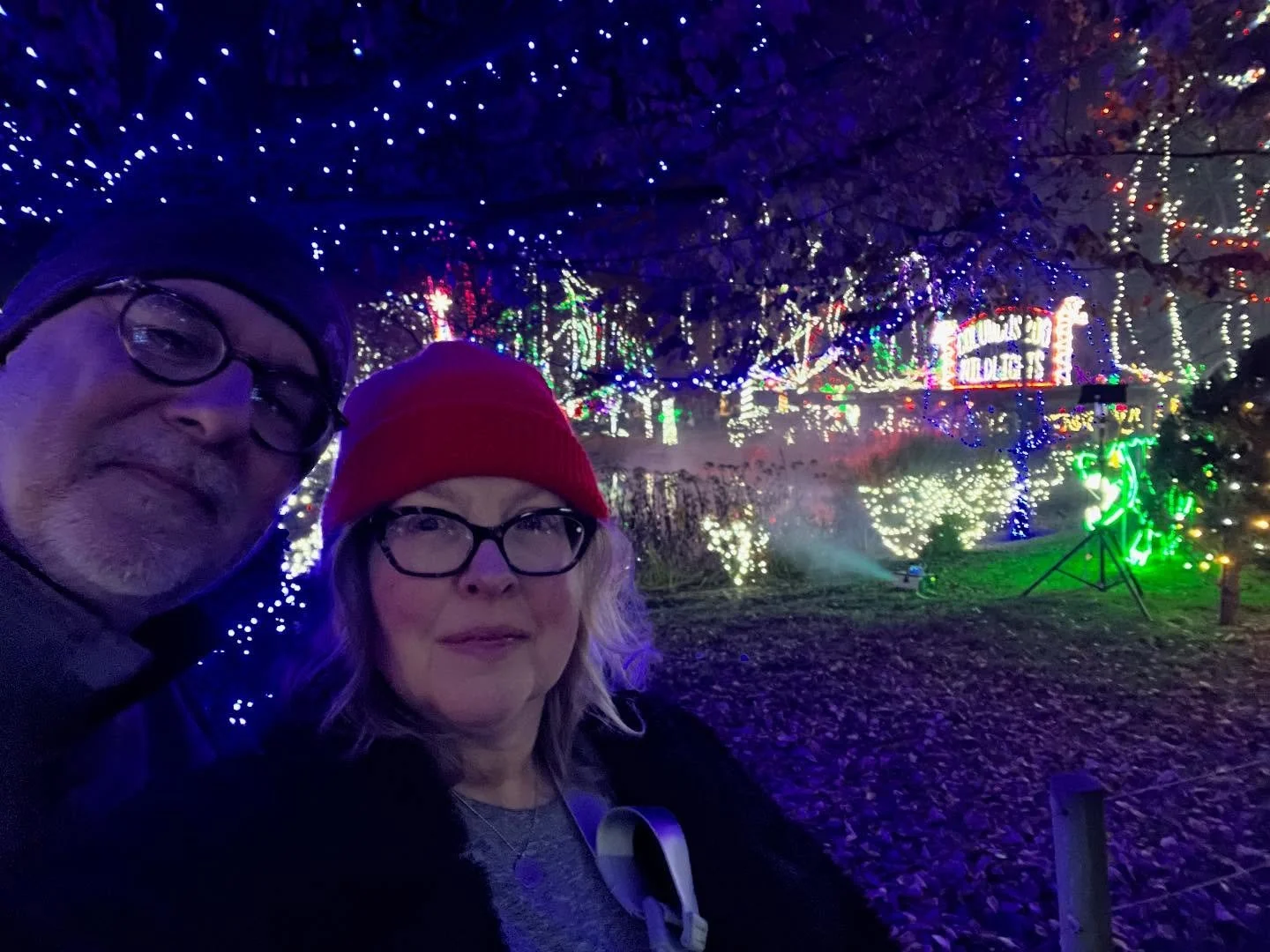 We had our annual date at the @nchfoundation Zoo Wildlights event last night. I was excited to see a couple active animals! There was a line for the elephant exhibit so I will have to meet that new baby another time.

This has become a nice tradition