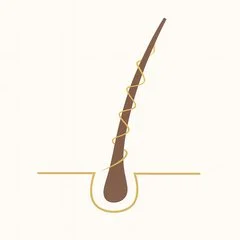 Icon Haarfaser mit Schutzschicht aus Keratin Collagen