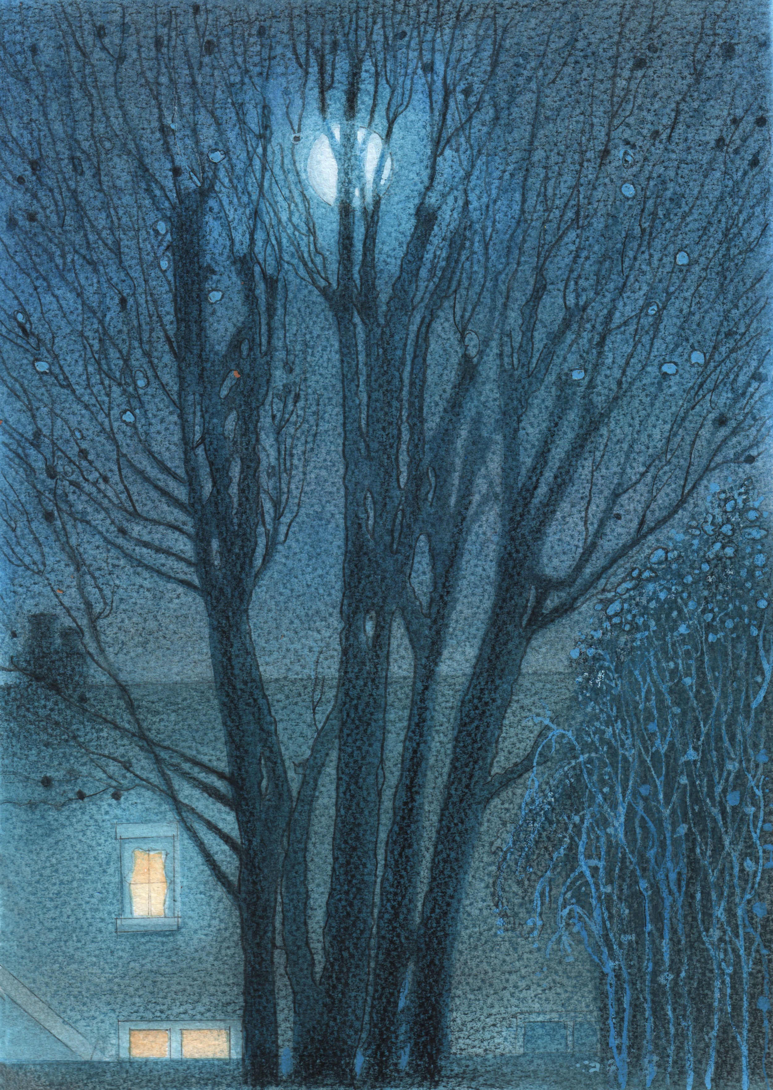 Moon in Sycamore: watercolour and pencil 2021: UNAVAILABLE SOLD
