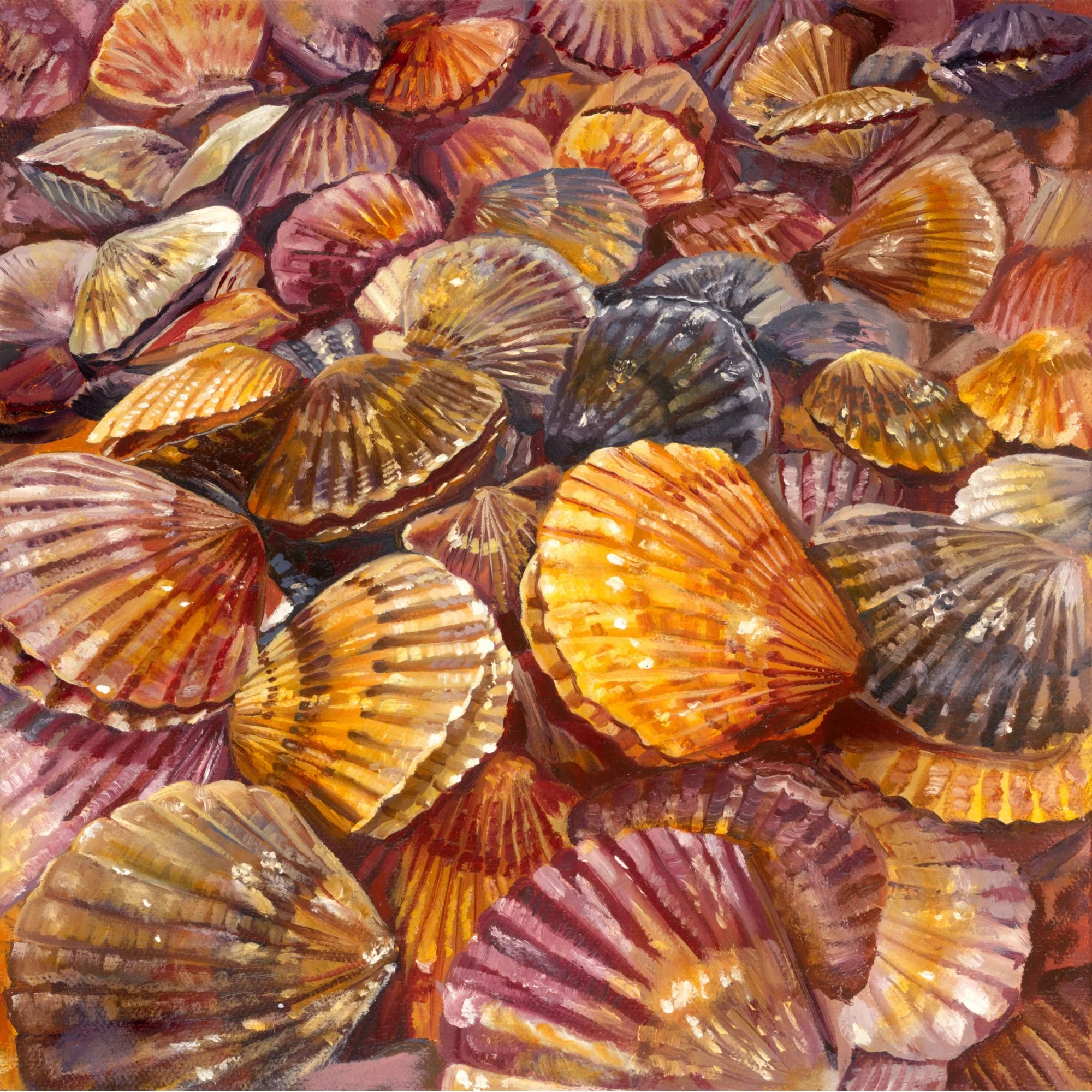 Scallops. 2025, Oil on Canvas, 12" x 12"