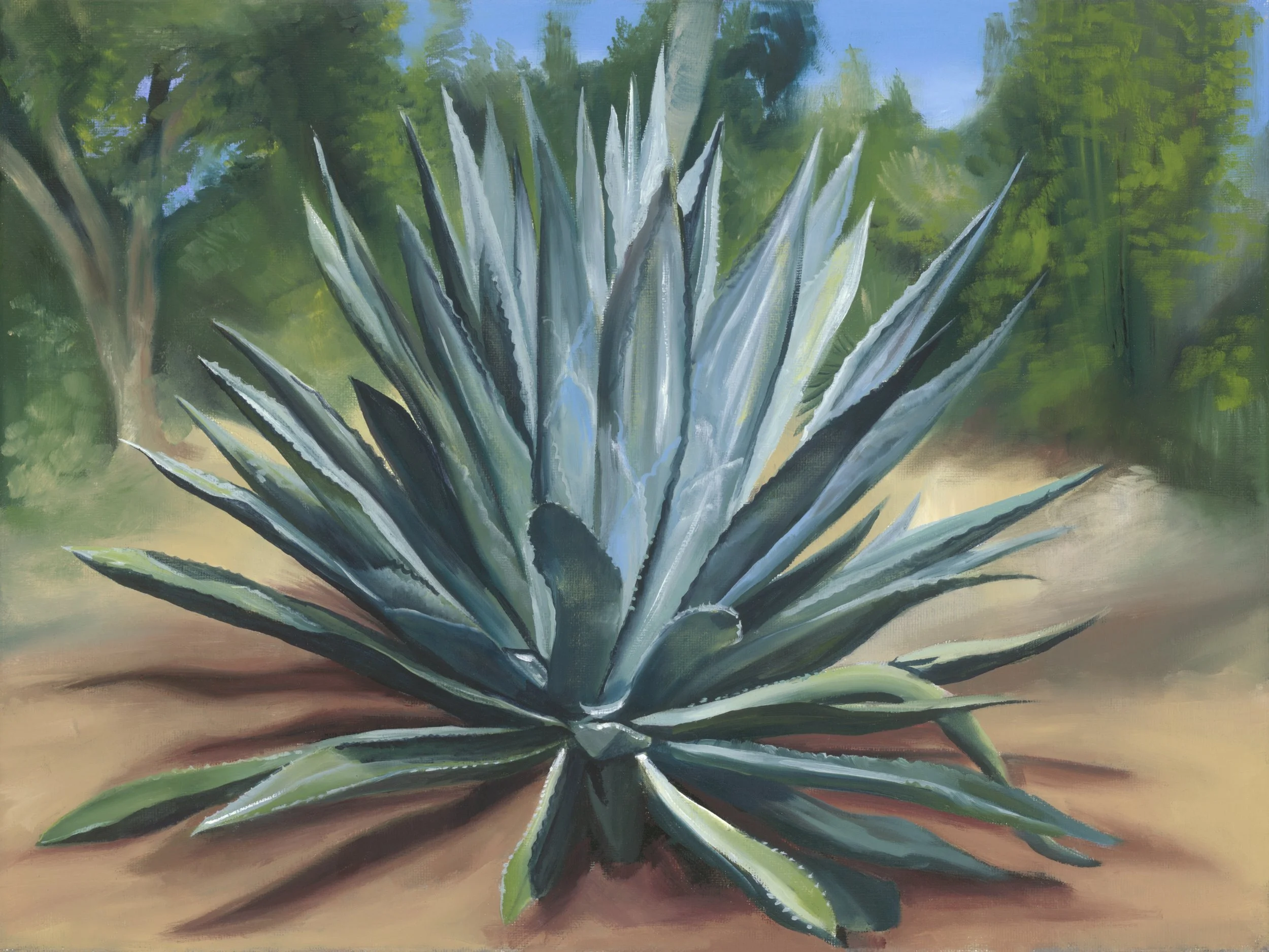 Agave (website).jpg