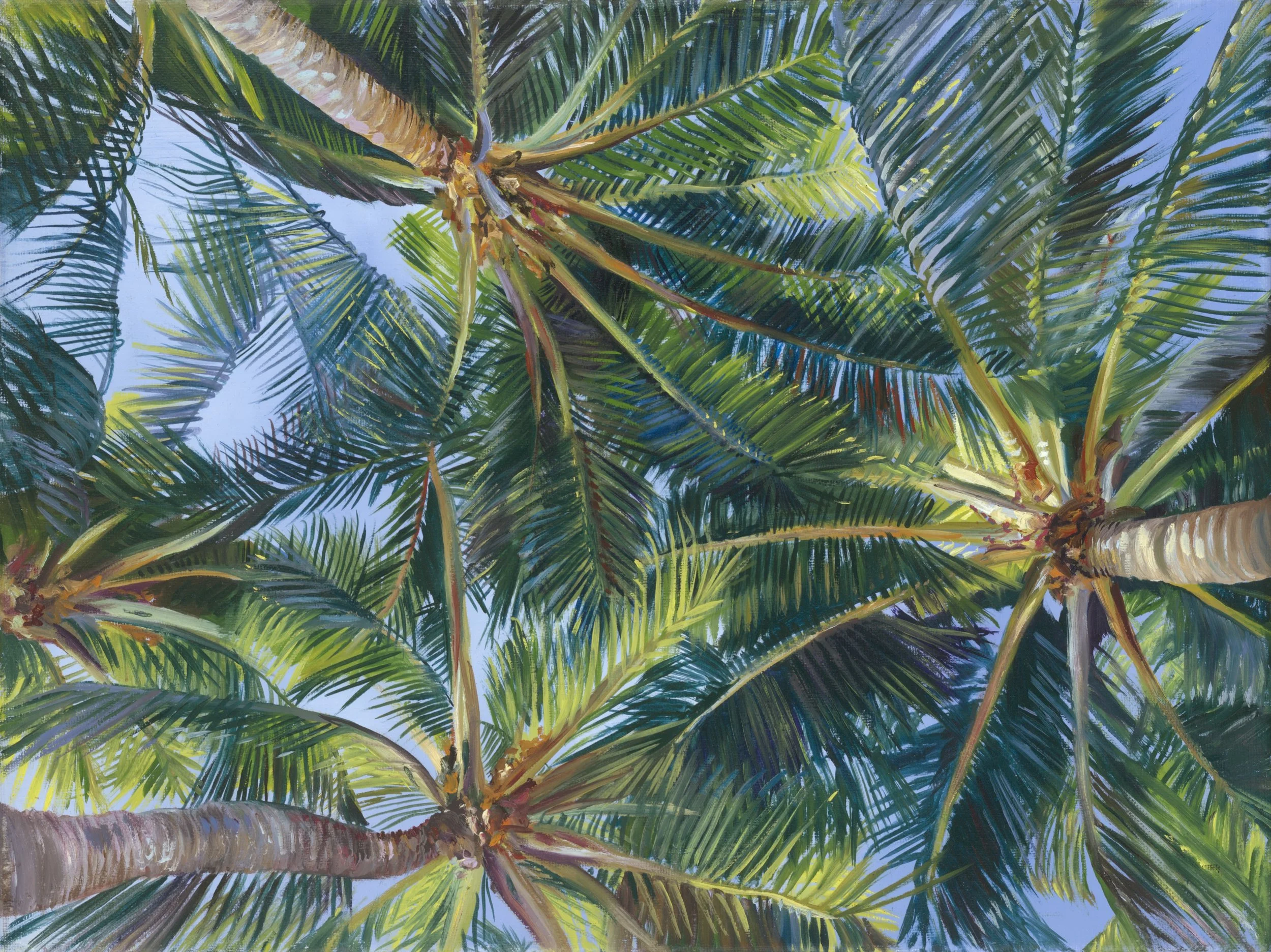 Palm Trees (website).jpg