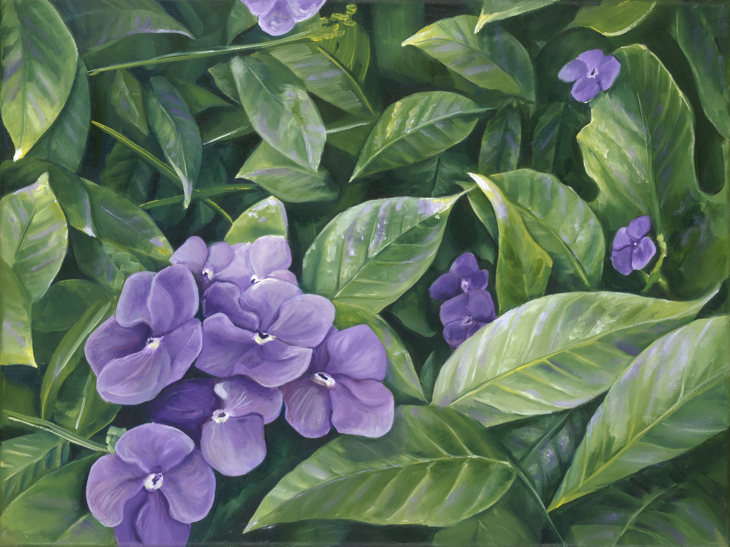 Purple Flowers (website).jpg