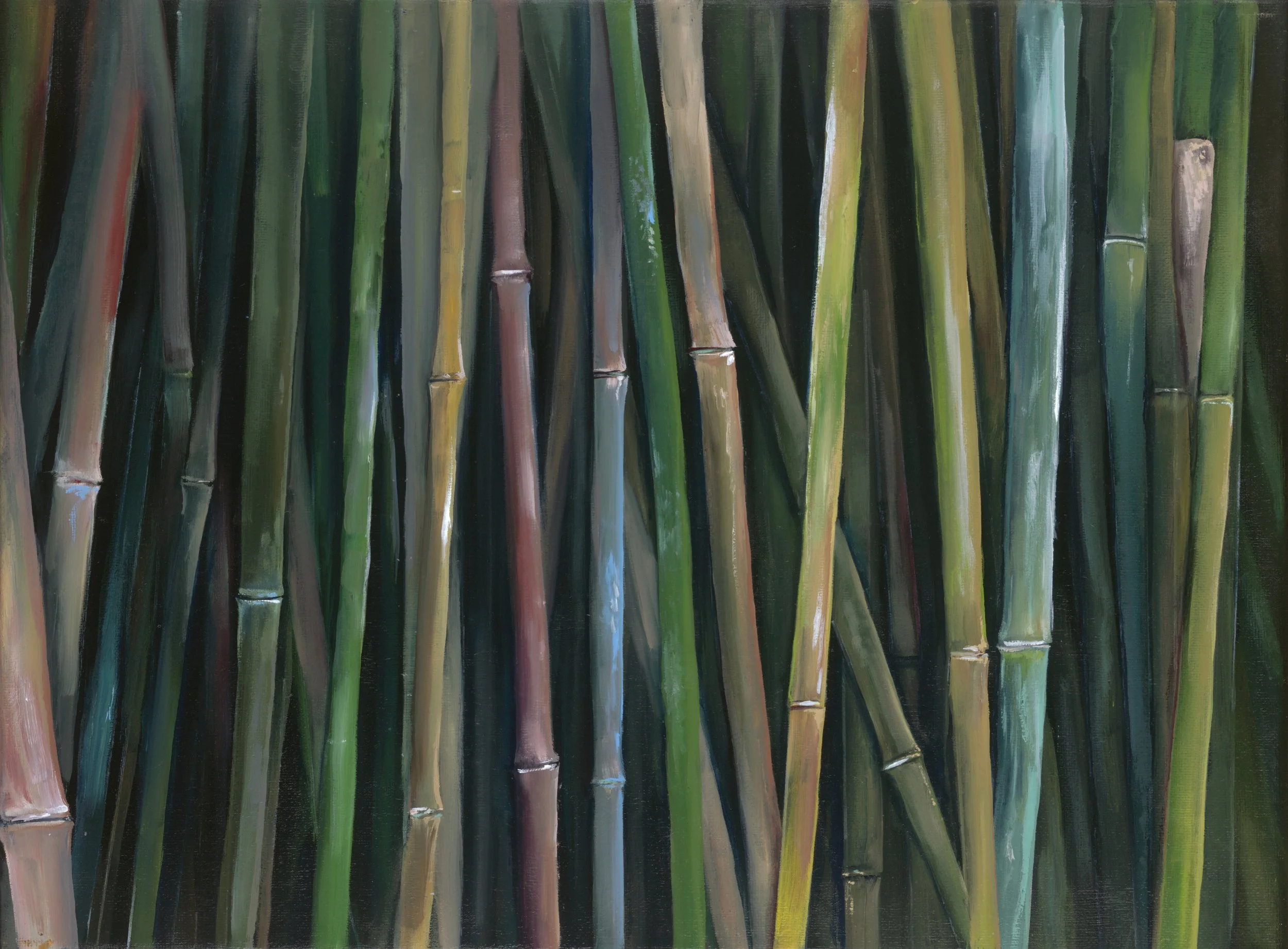 Bamboo (website).jpg