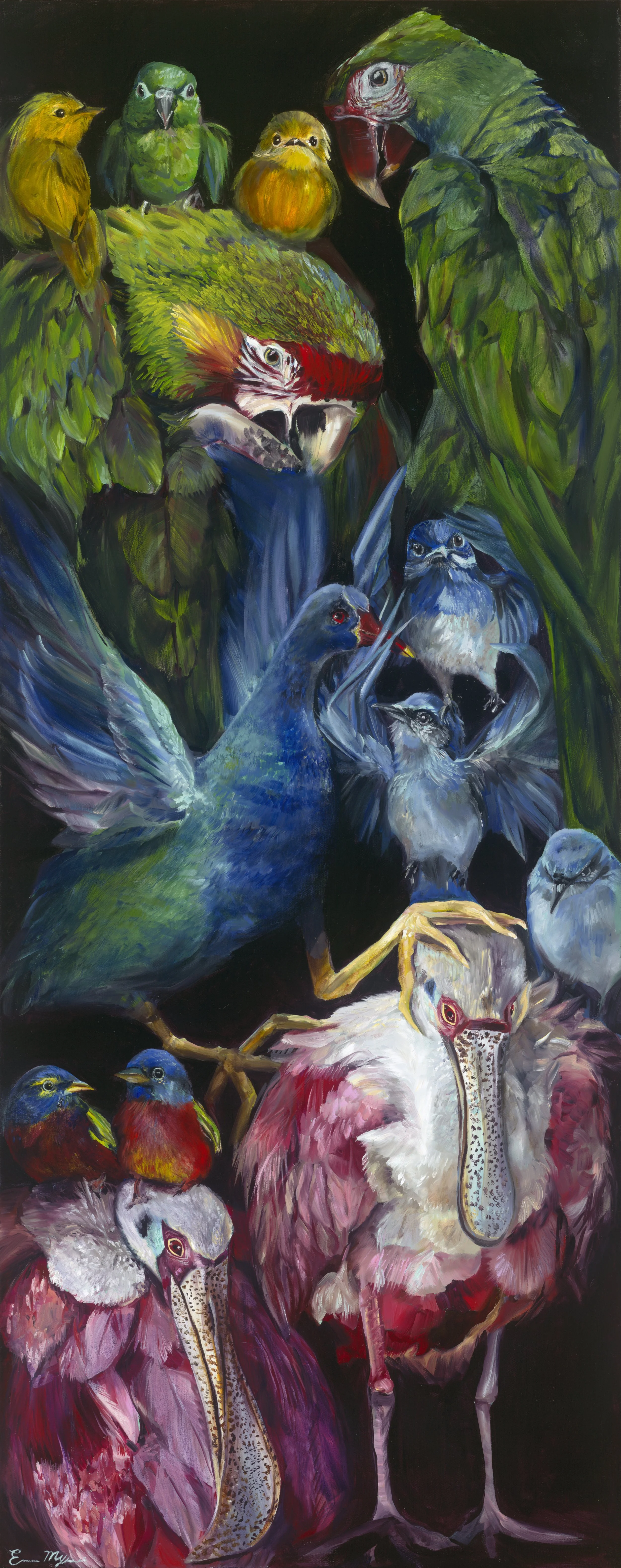 Tropical Birds, 2025, Oil on Canvas 16" x 40" 
