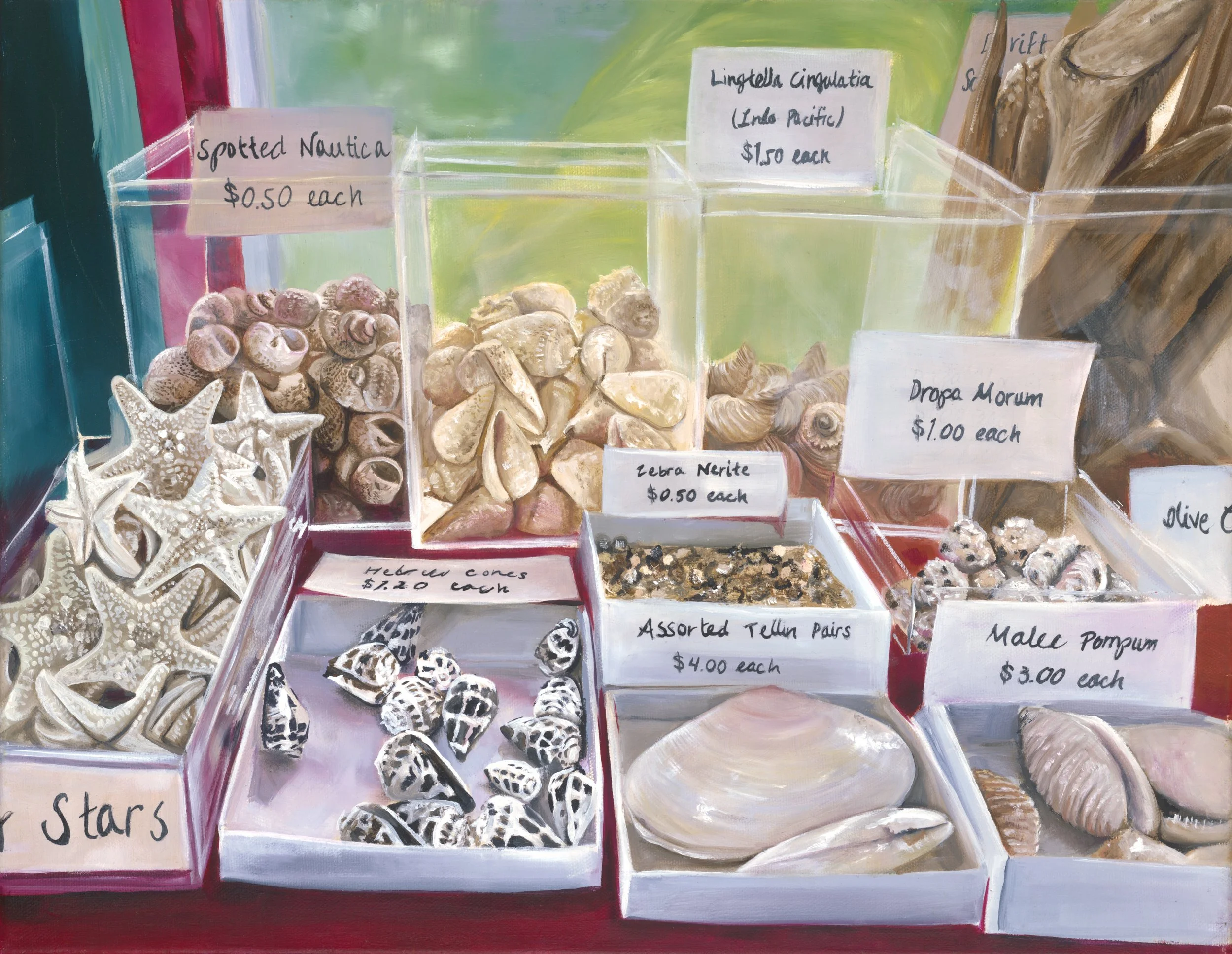 Seashells (website).jpg