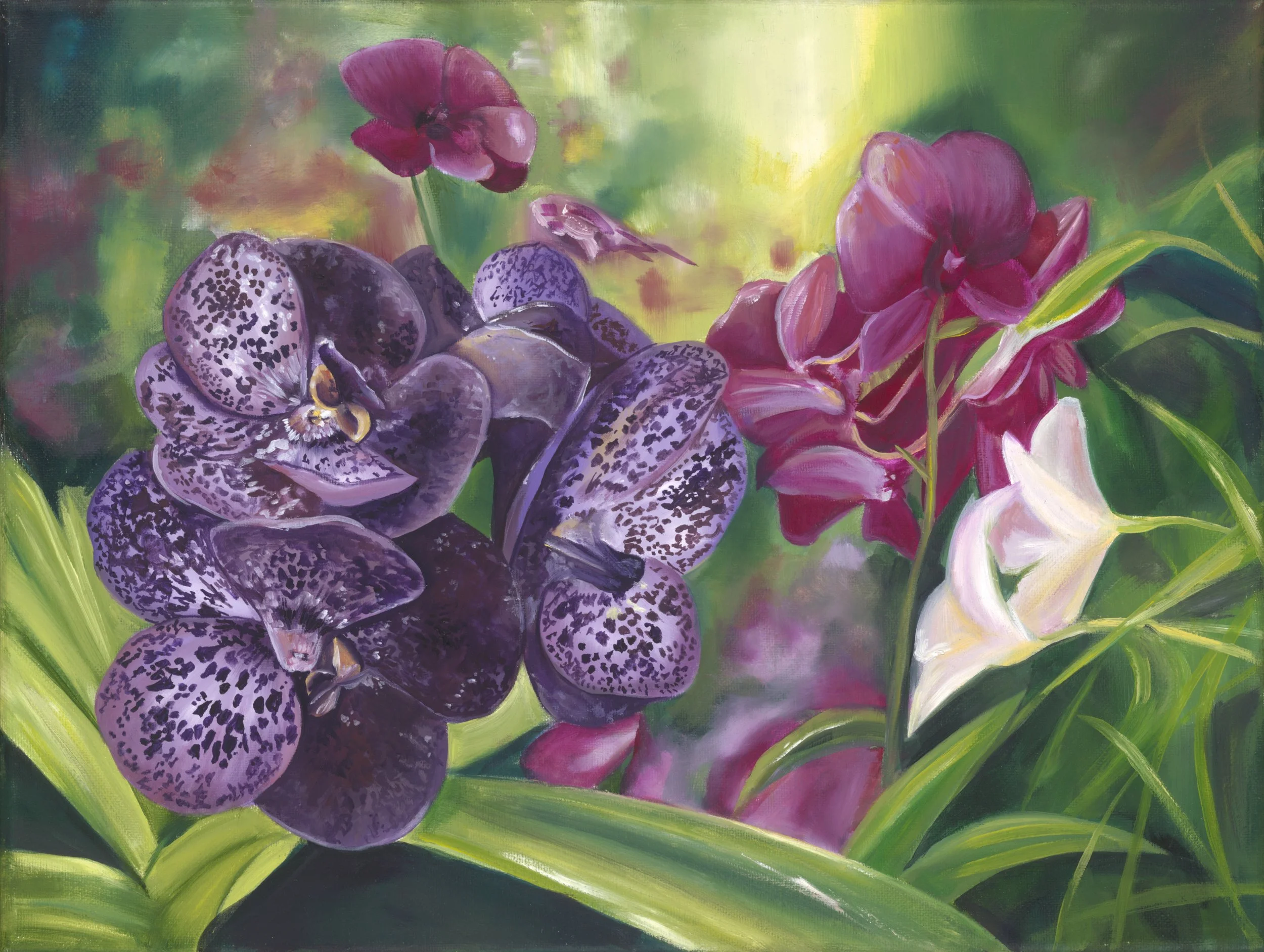 Mixed Orchids (website).jpg