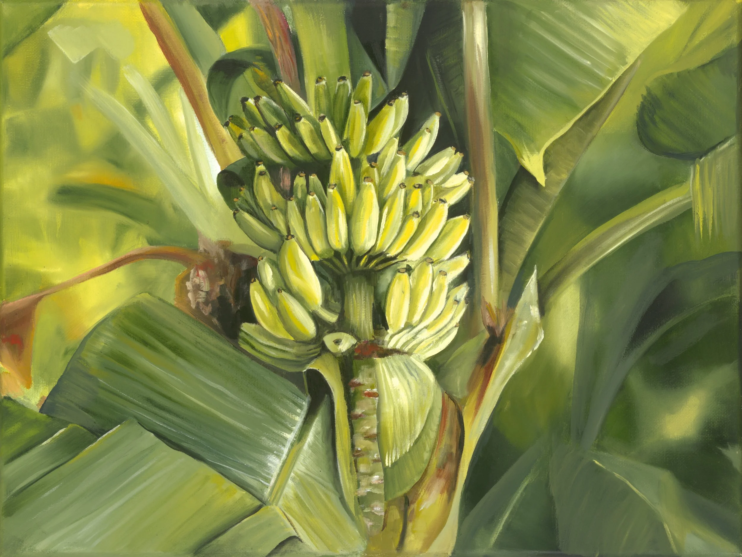 Mini Bananas (website).jpg