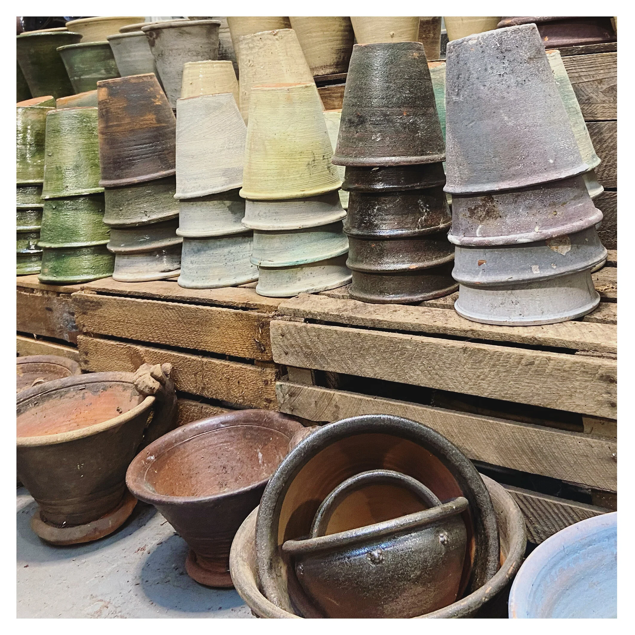 Soucing and planting schemes 3.jpg