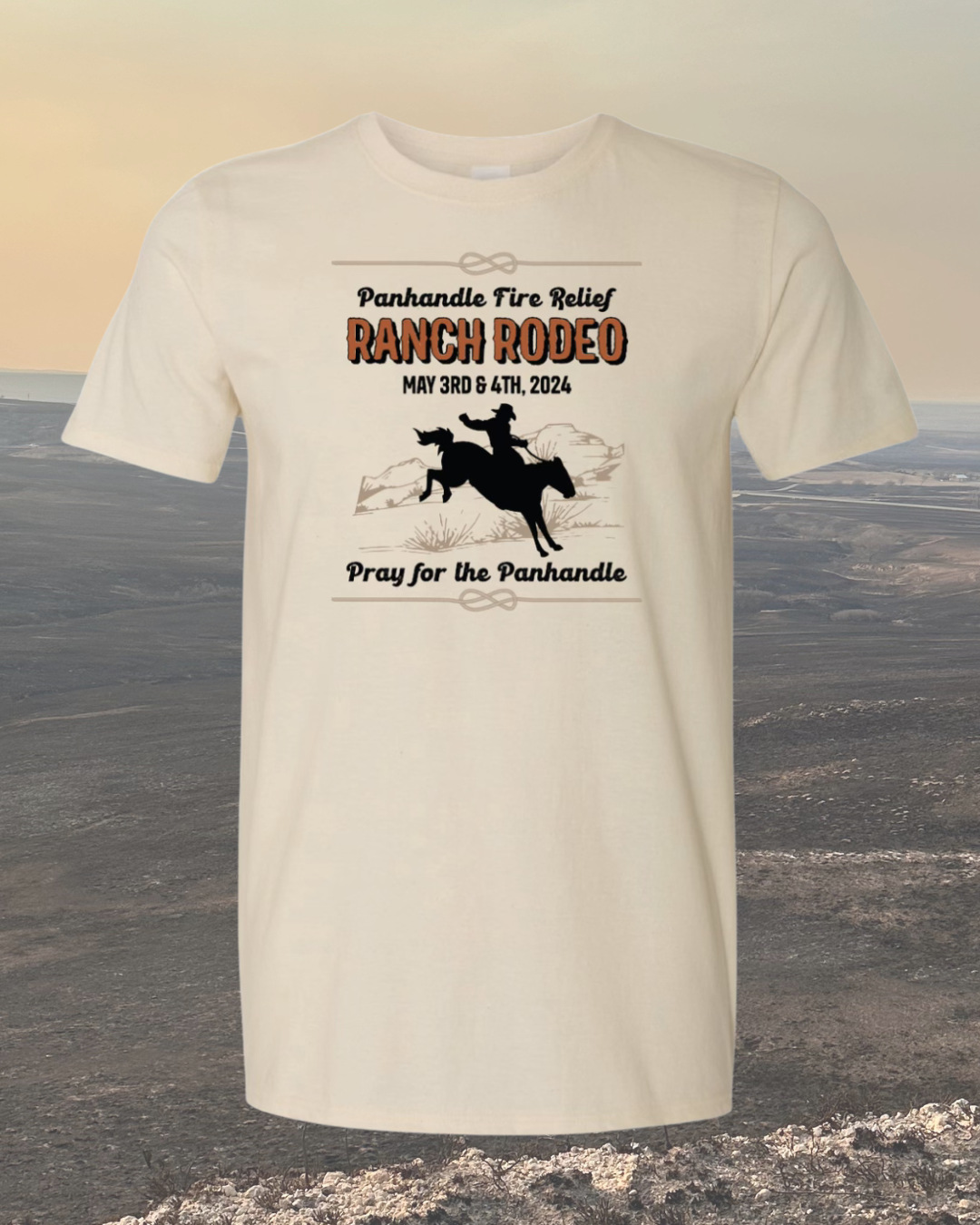 panhandle wildfire dontations.png