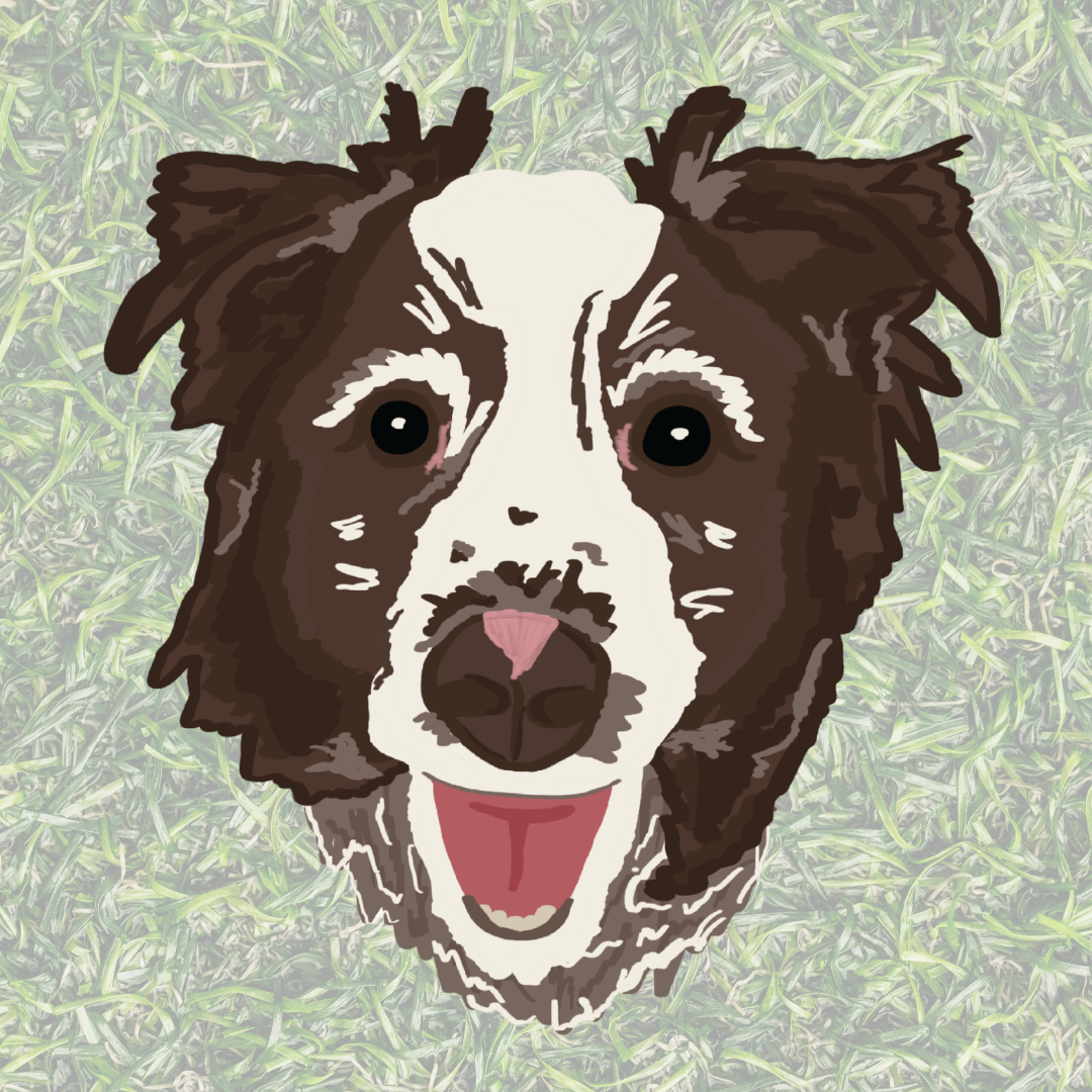 Millie.png