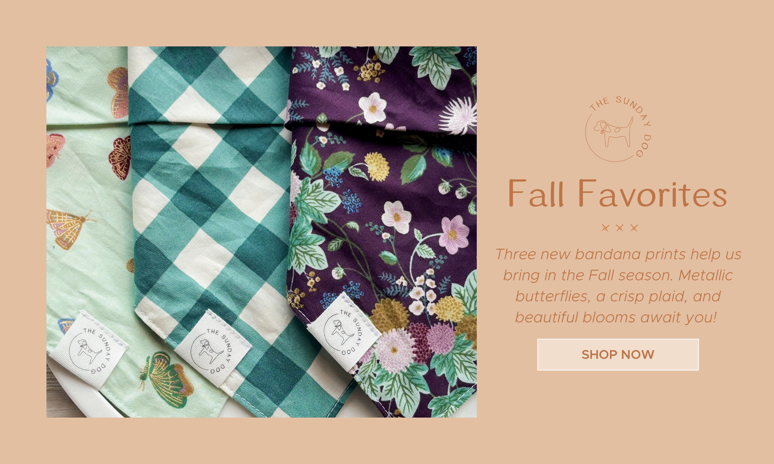 Copy of Fall '23 Website Banner.png