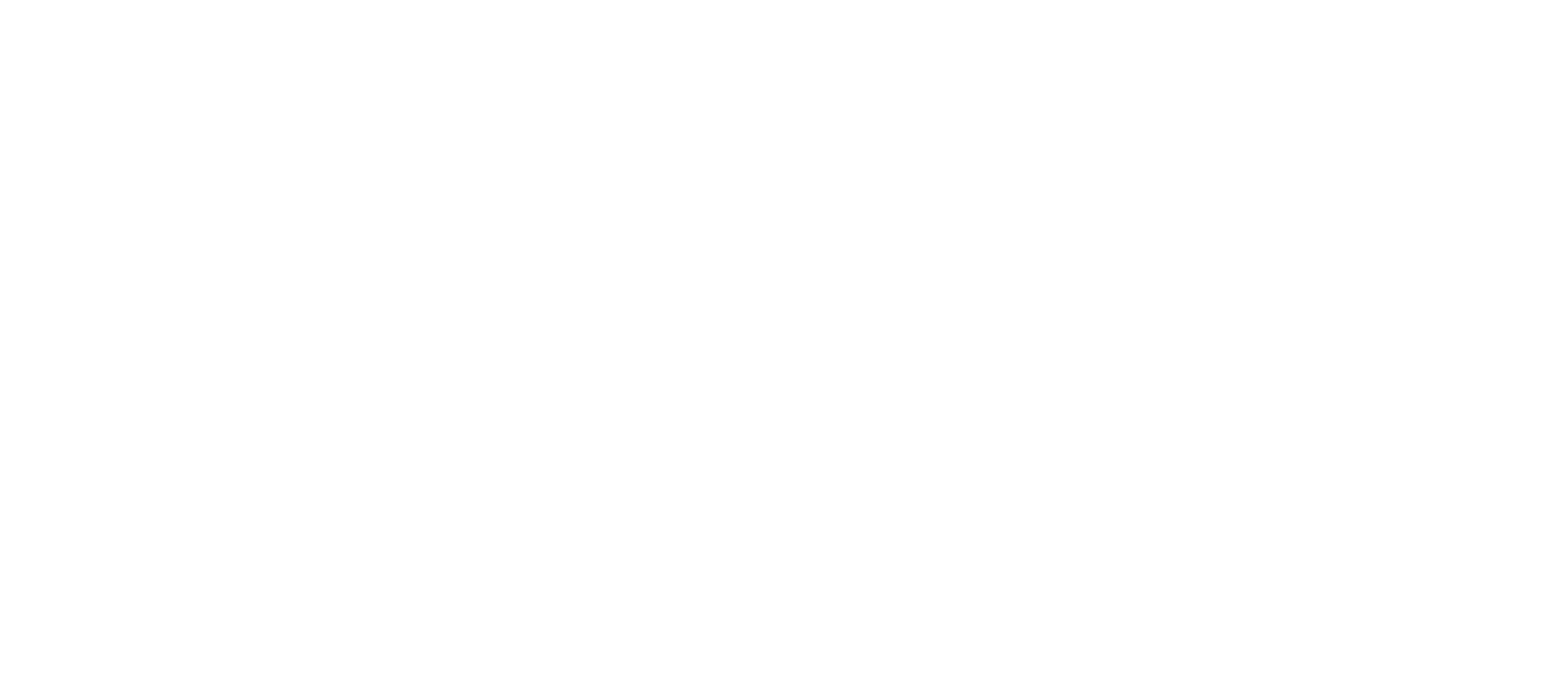 Bella Canvas