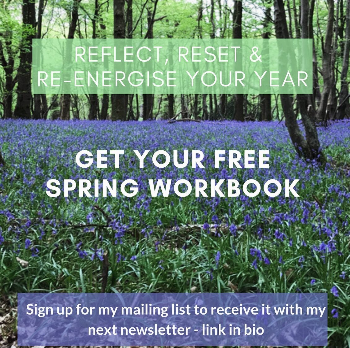 I&rsquo;m sitting at my desk in the morning sunshine (swipe to see) and just decided to give away this Spring workbook with my March inspiration list. ⁣
⁣
If you sign up at the link in my bio, you will not only get a download of my guide to going on 