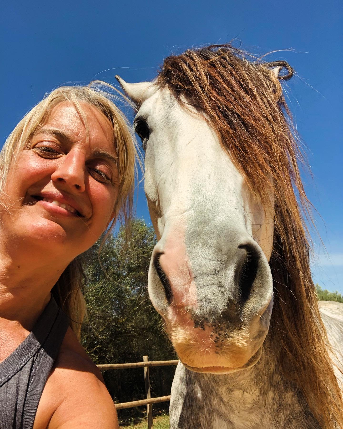 Yesterday, I was given a taster session in how to speak horse.⁣
⁣
It started, as all sessions at @son_cavalls do, by feeling for a real connection.⁣
⁣
Among all the gorgeous horses I met, this handsome young man stood out by far. His name is Viggo, n