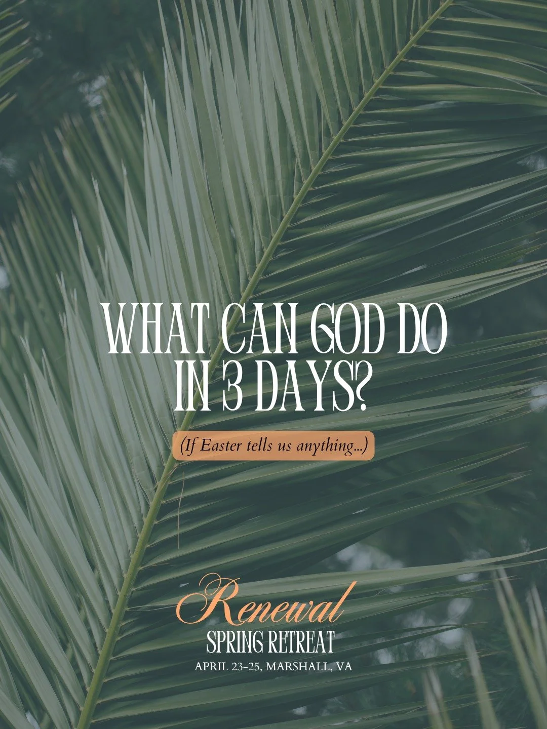 A better question might be: What CAN'T God do in 3 days?

When we give God our time, our attention, and our hearts &ndash; He can bring us back to life in ways we never thought possible.💛

If your soul is need of reviving,  join us @thetableviewfarm