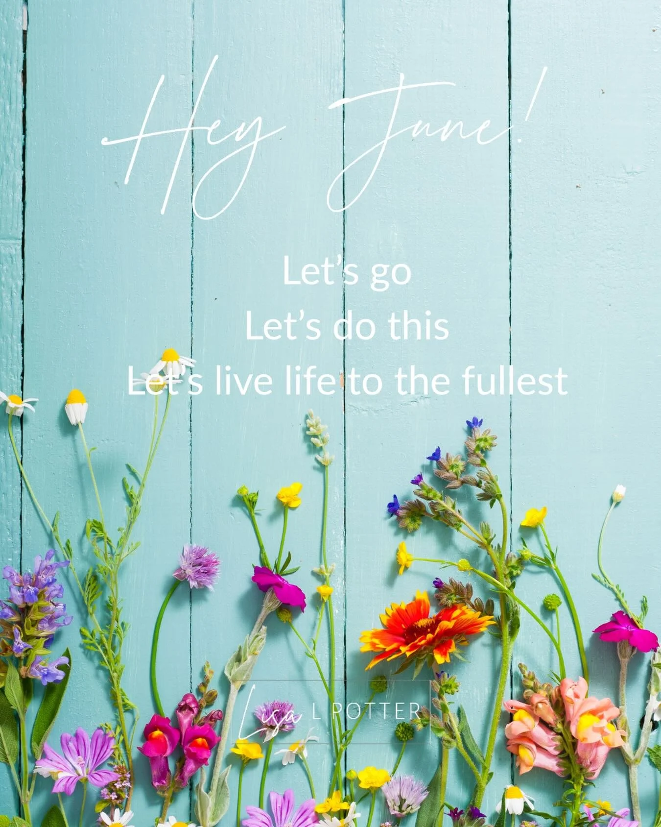 Hey, June!
A new month always feels like an invitation
to begin again,
to dream again,
to breathe a little deeper,
and to step forward with fresh courage.

Let this be the month you stop waiting for perfect conditions and simply start showing up full