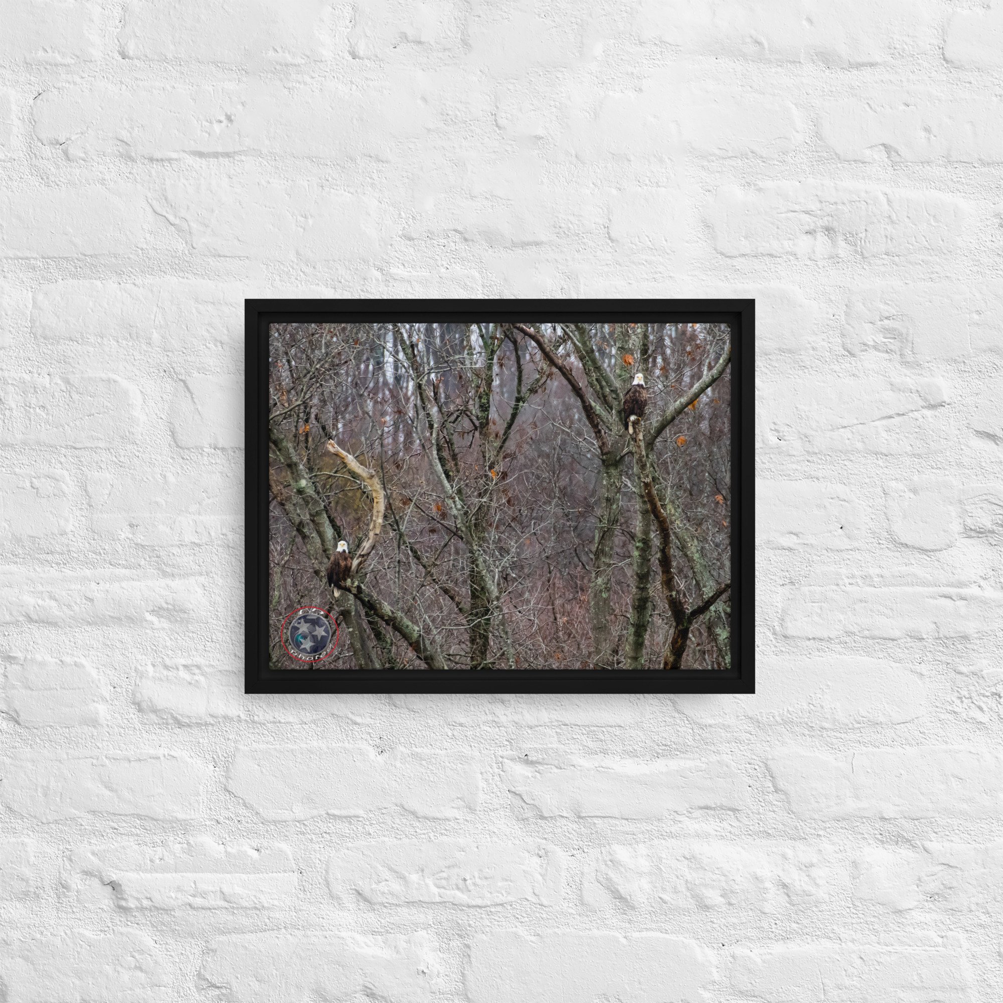 framed-canvas-(in)-black-12x16-front-639f770fbaf9d.jpg