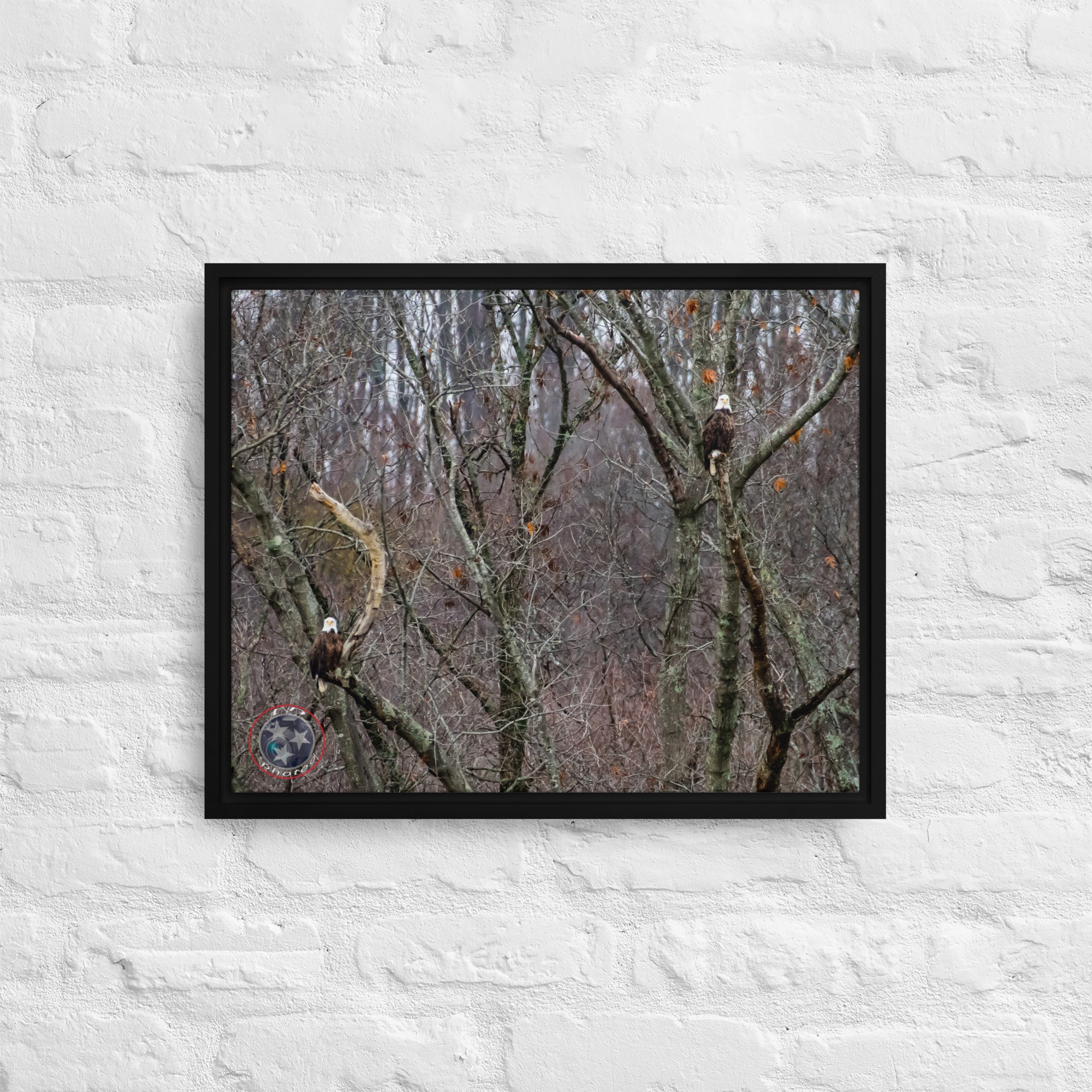 framed-canvas-(in)-black-16x20-front-639f770fbb0b4.jpg