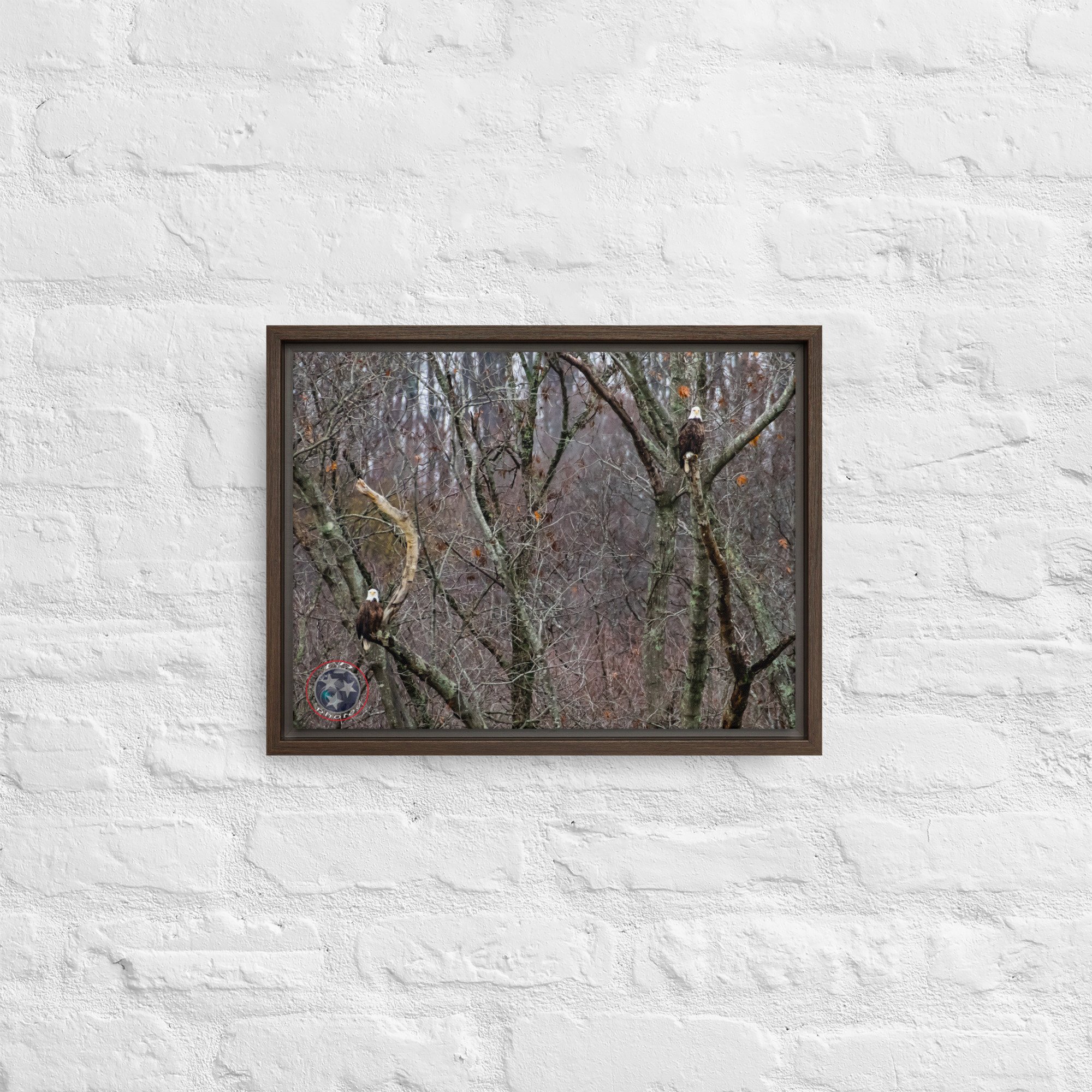 framed-canvas-(in)-brown-12x16-front-639f770fbb1fb.jpg