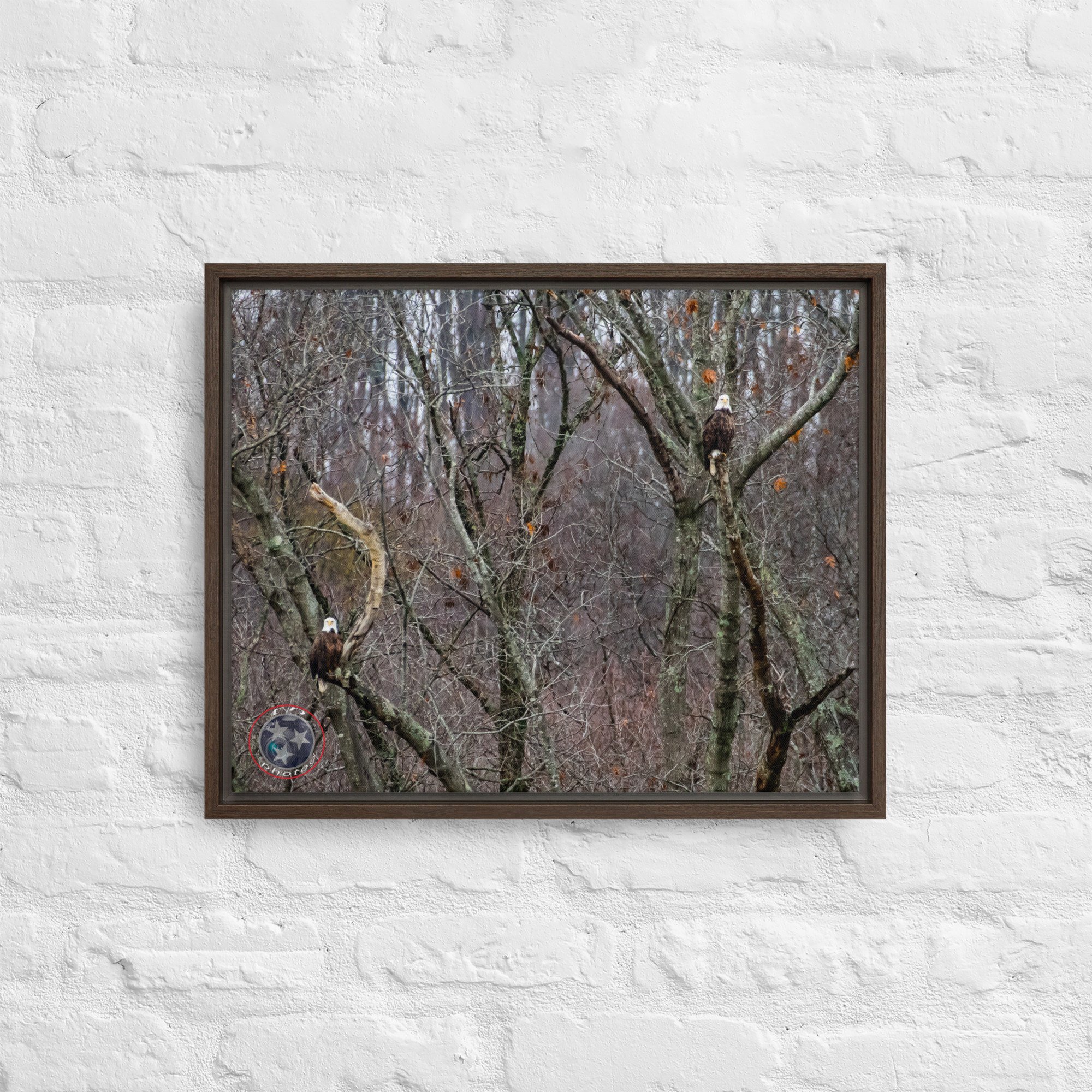 framed-canvas-(in)-brown-16x20-front-639f770fbb27a.jpg