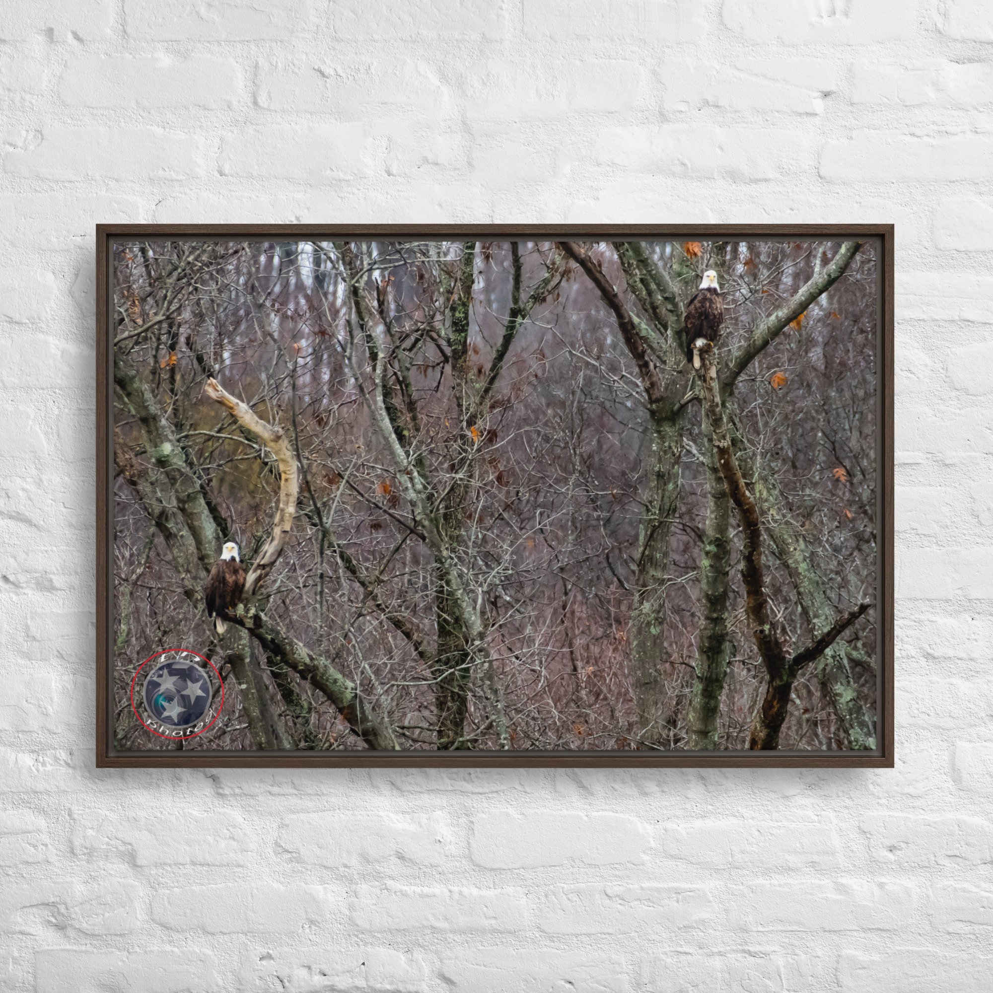 framed-canvas-(in)-brown-24x36-front-639f770fbb373.jpg