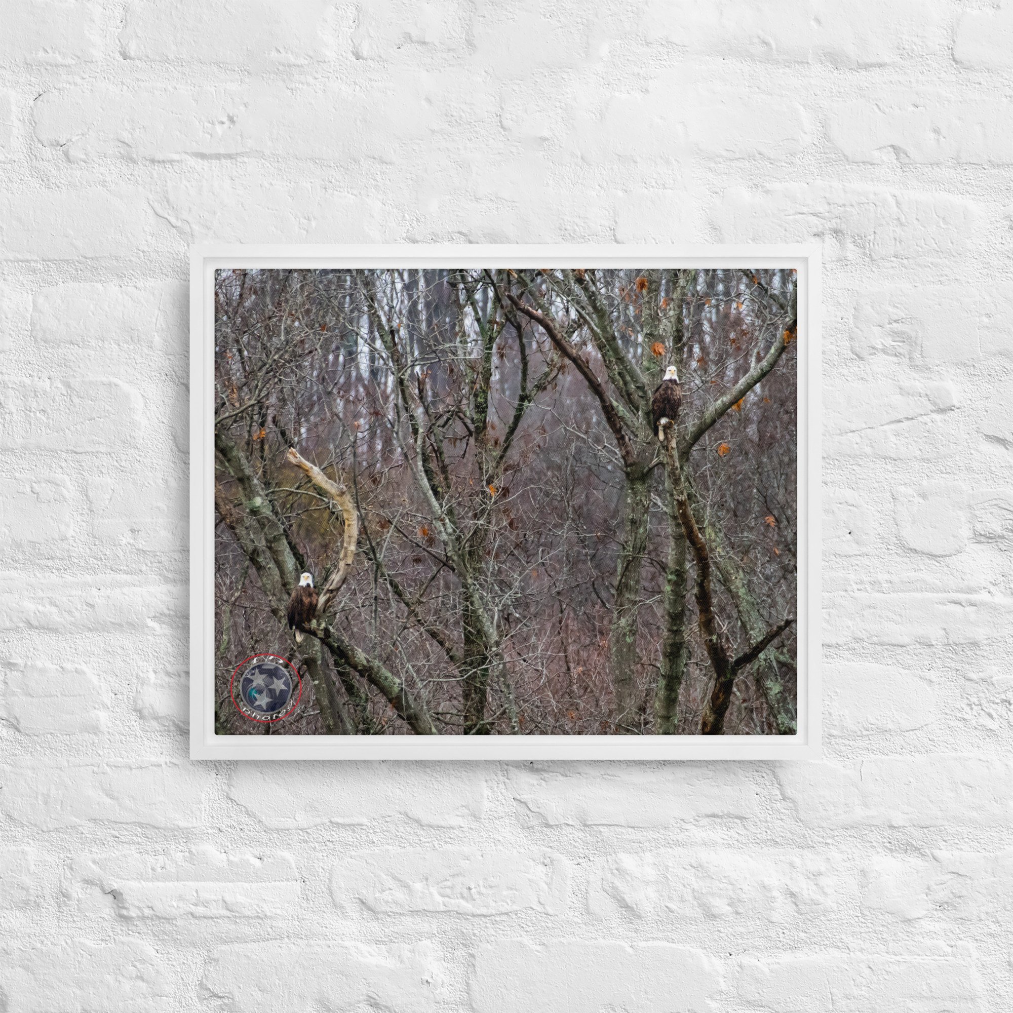 framed-canvas-(in)-white-16x20-front-639f770fbb46b.jpg