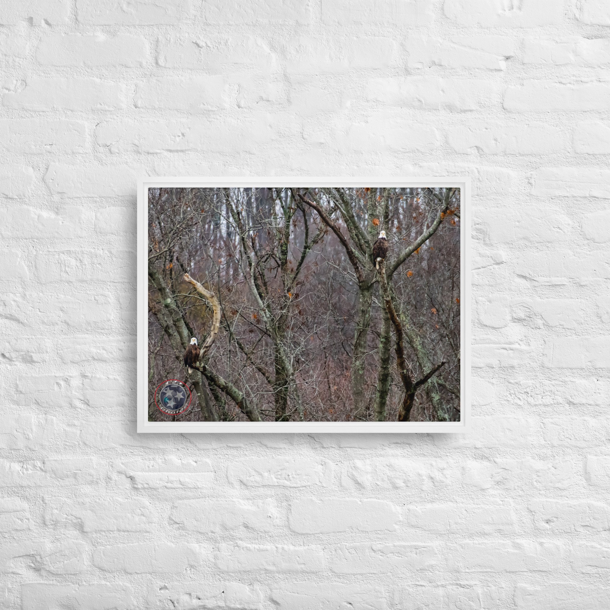 framed-canvas-(in)-white-18x24-front-639f770fbb4e6.jpg