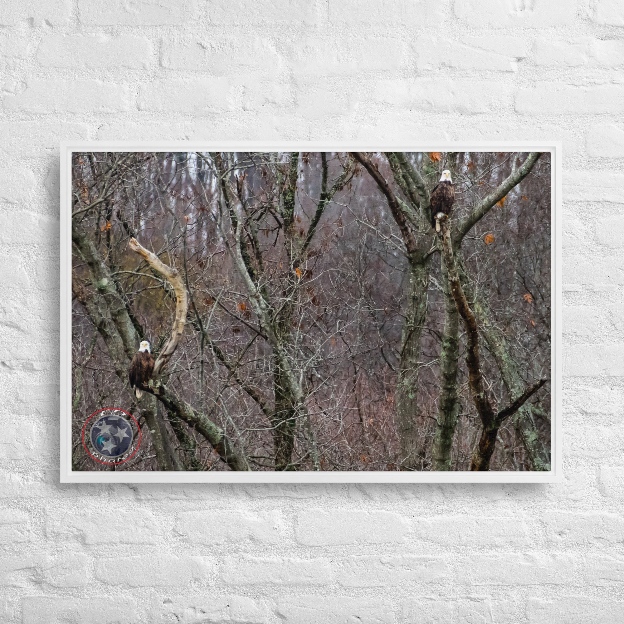 framed-canvas-(in)-white-24x36-front-639f770fbb561.jpg