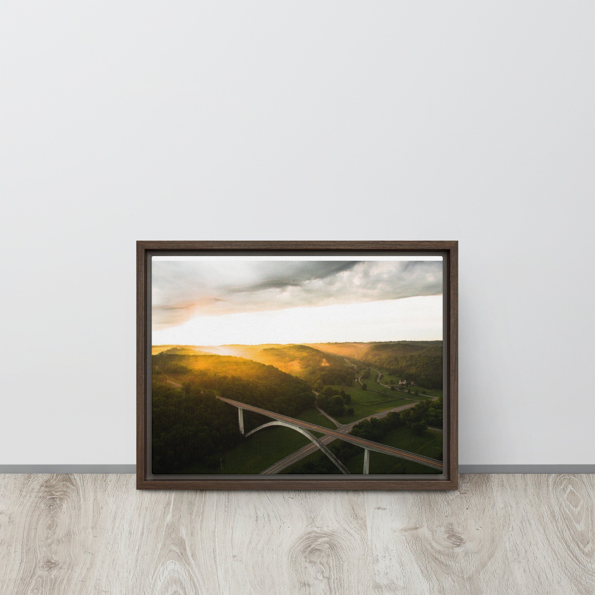 framed-canvas-(in)-brown-12x16-front-639f8bdd2e018.jpg